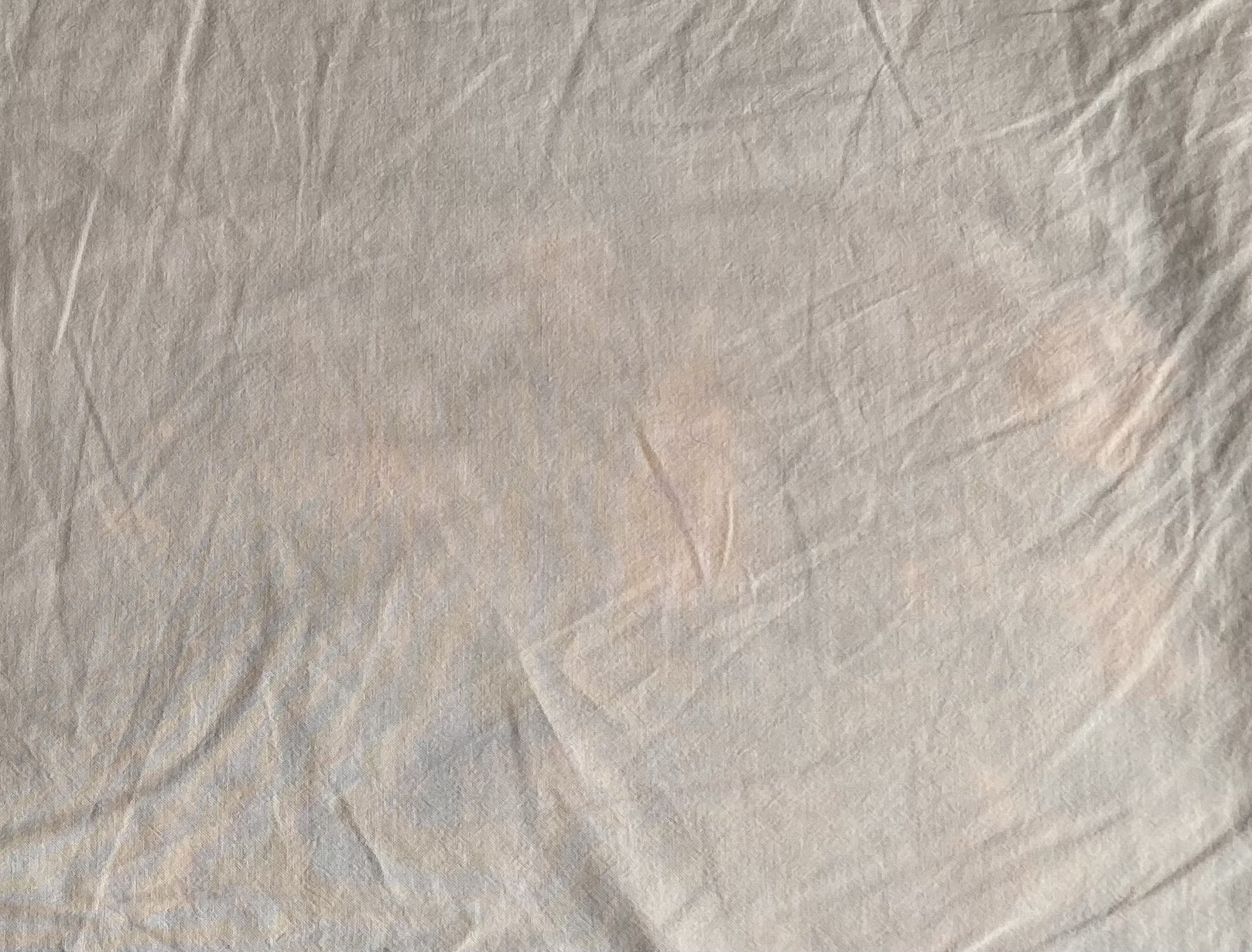 レビュー投稿画像