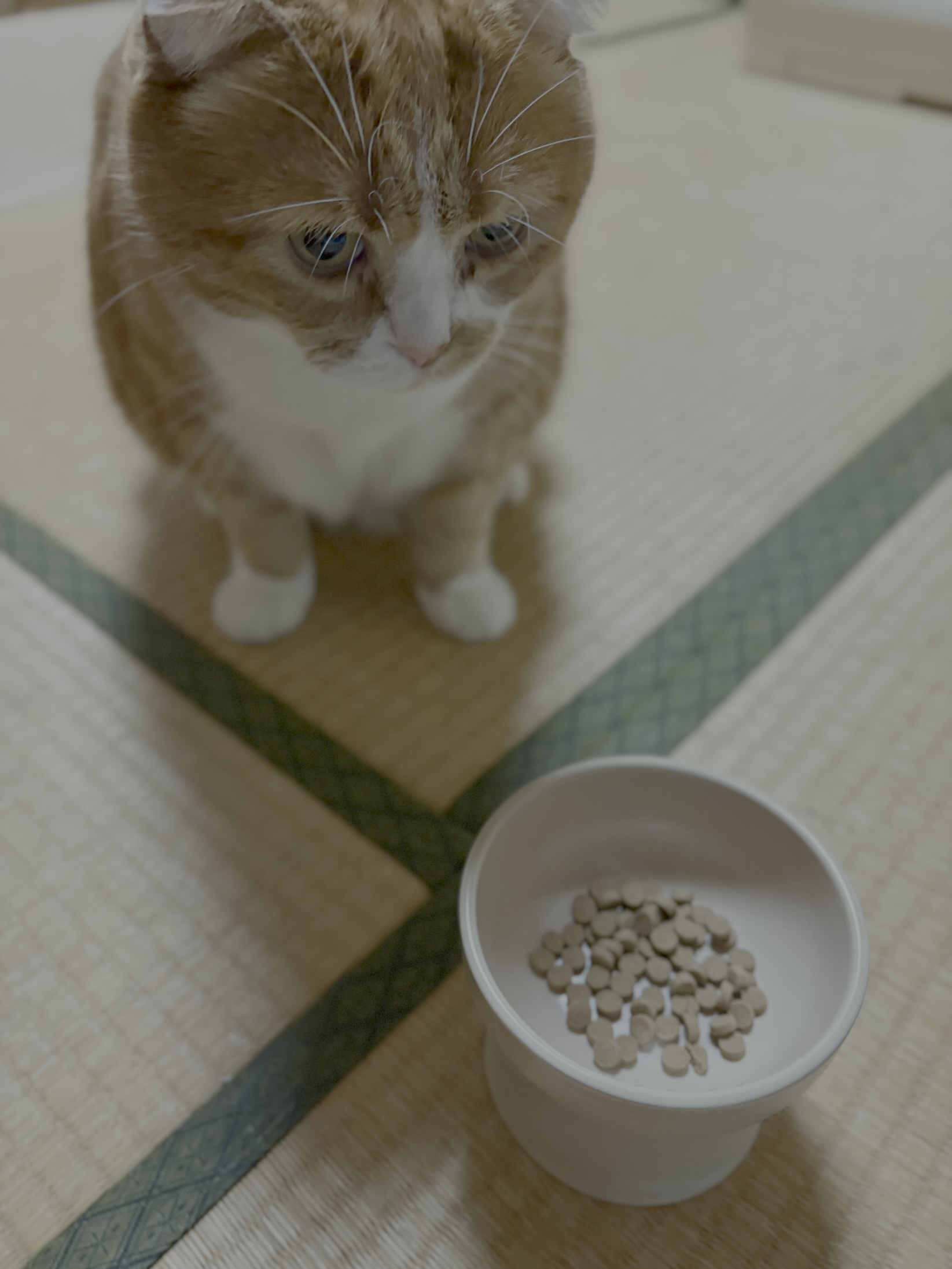 レビュー投稿画像