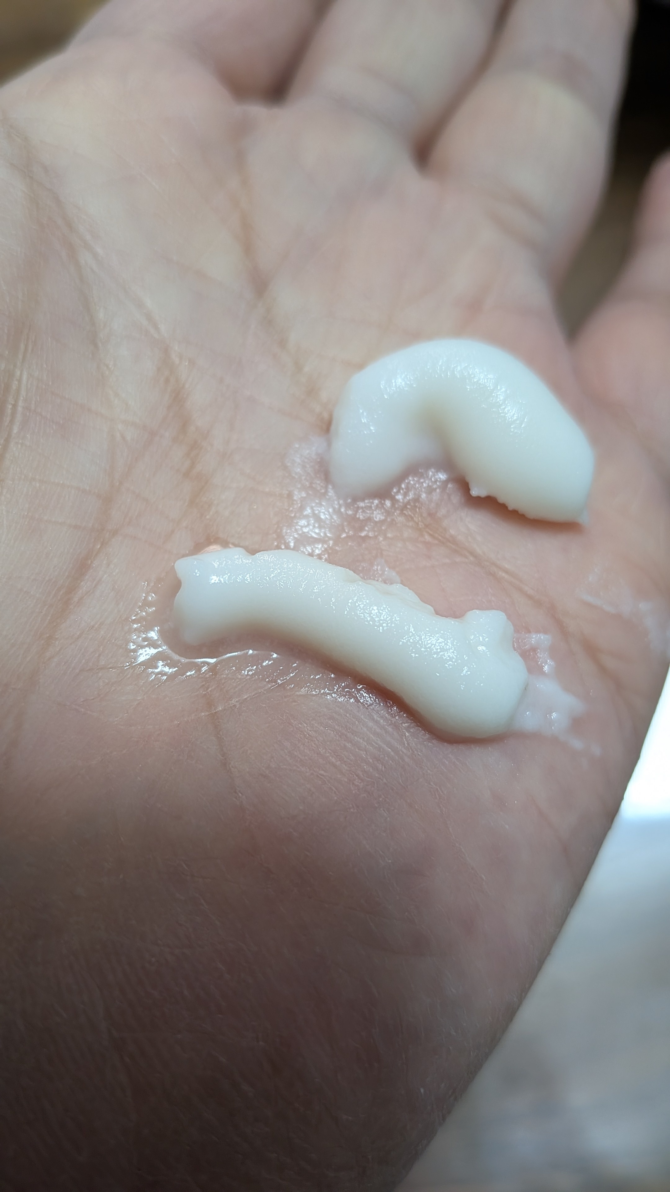 レビュー投稿画像