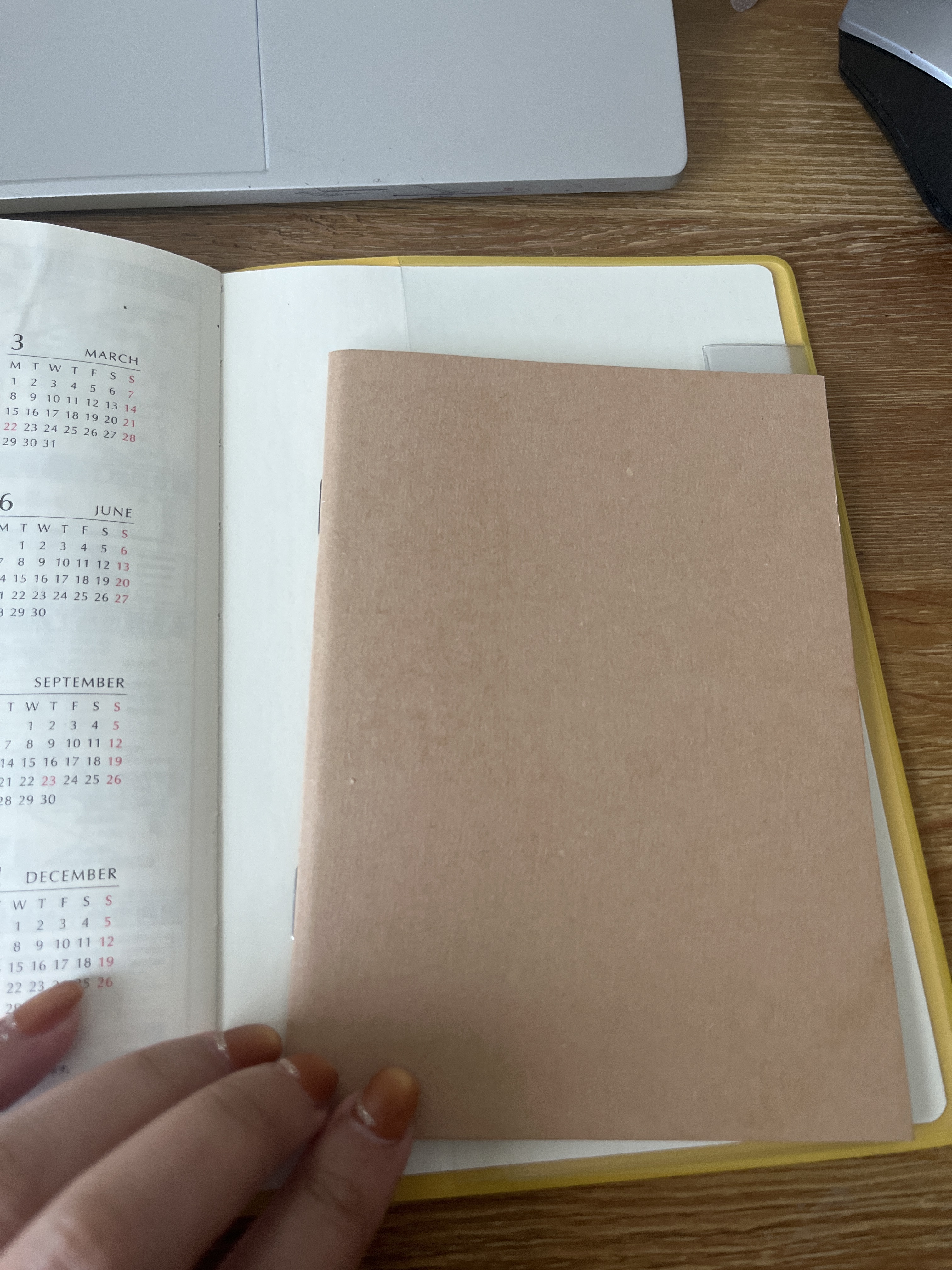 レビュー投稿画像