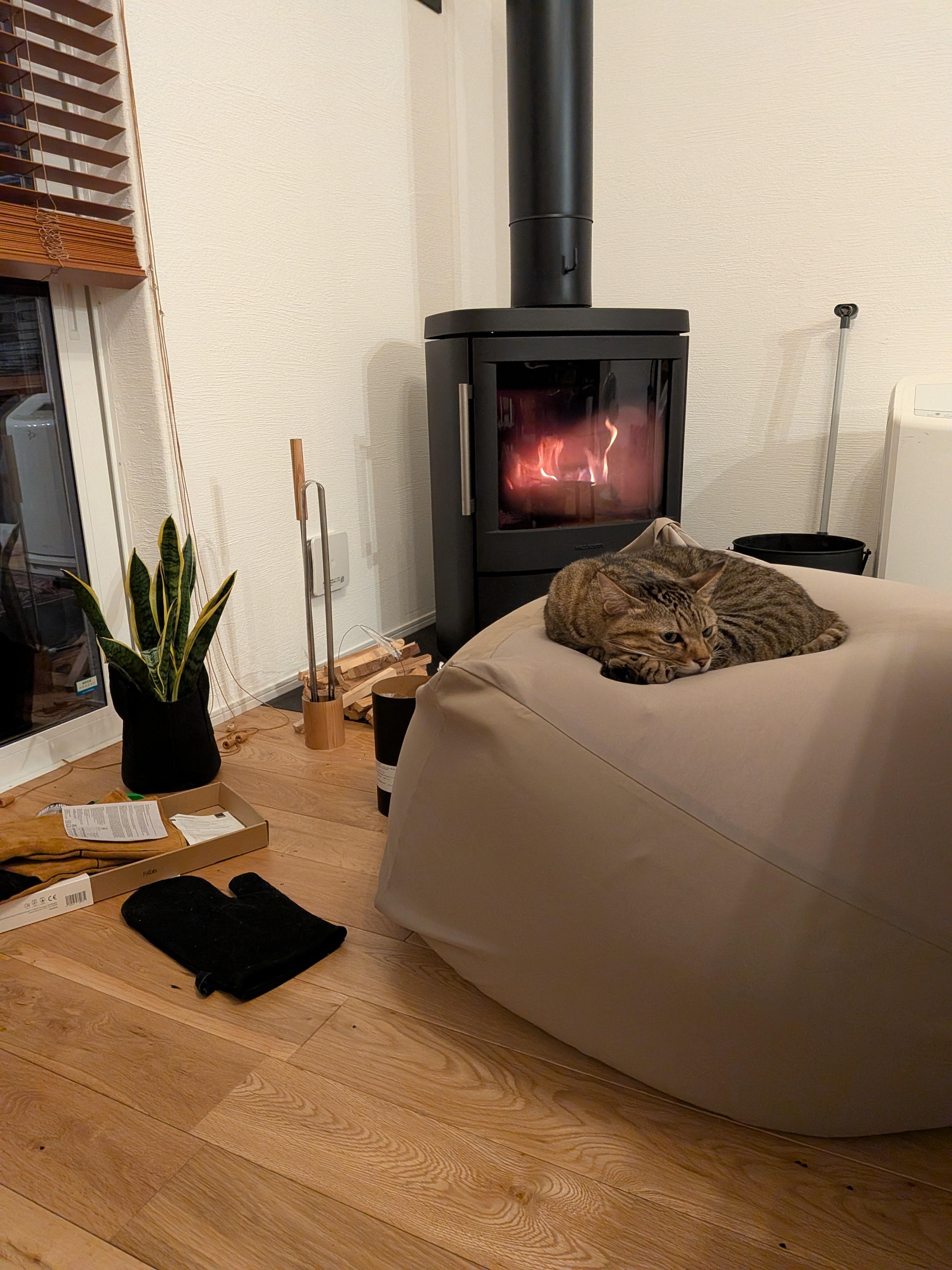 レビュー投稿画像