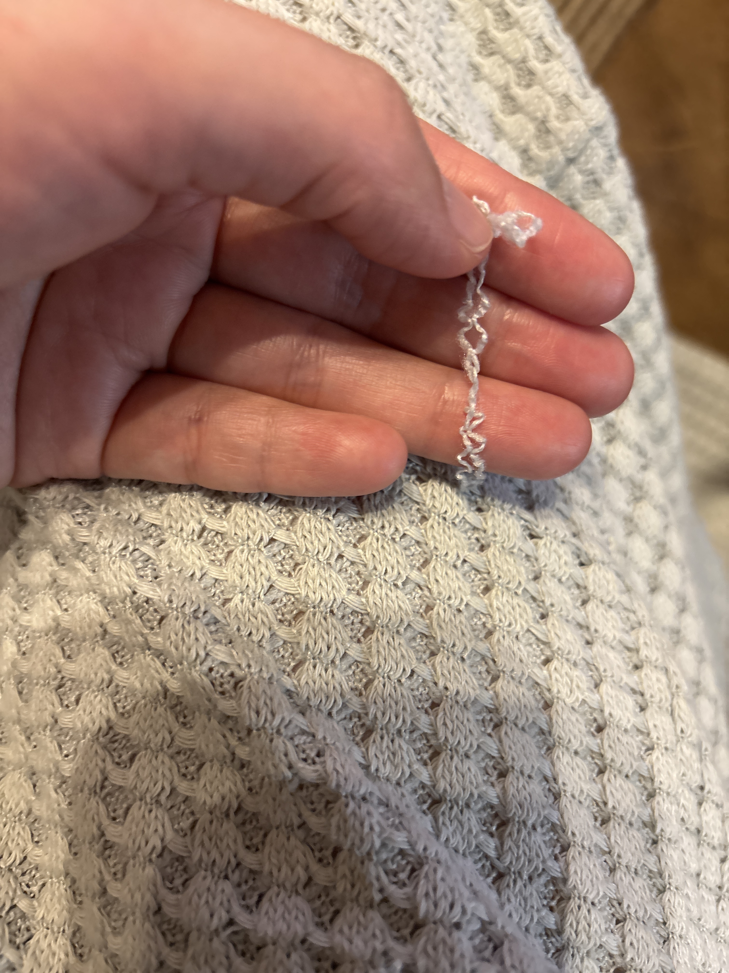 レビュー投稿画像