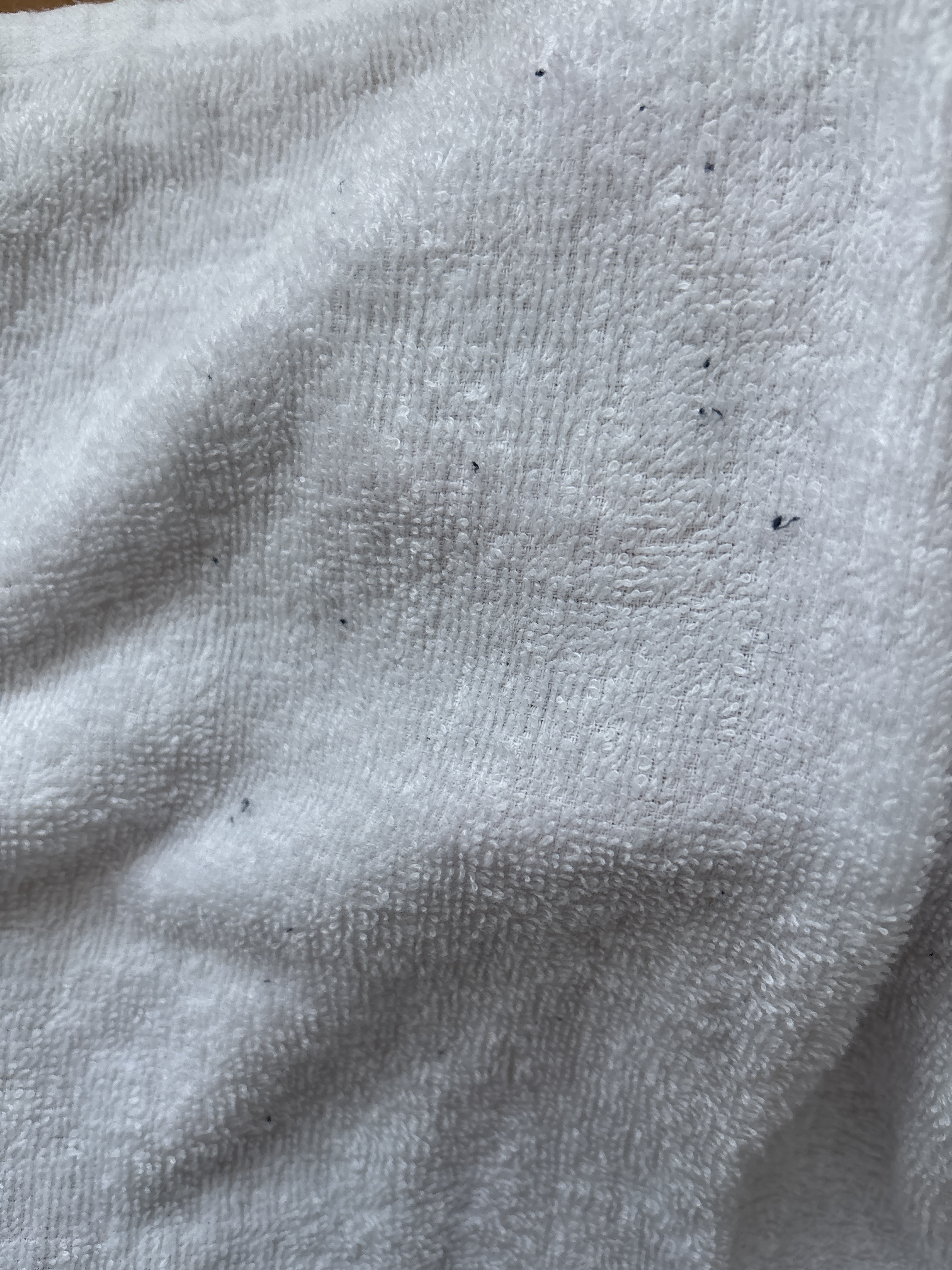 レビュー投稿画像