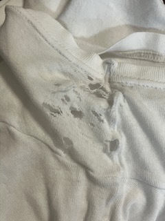 レビュー投稿画像