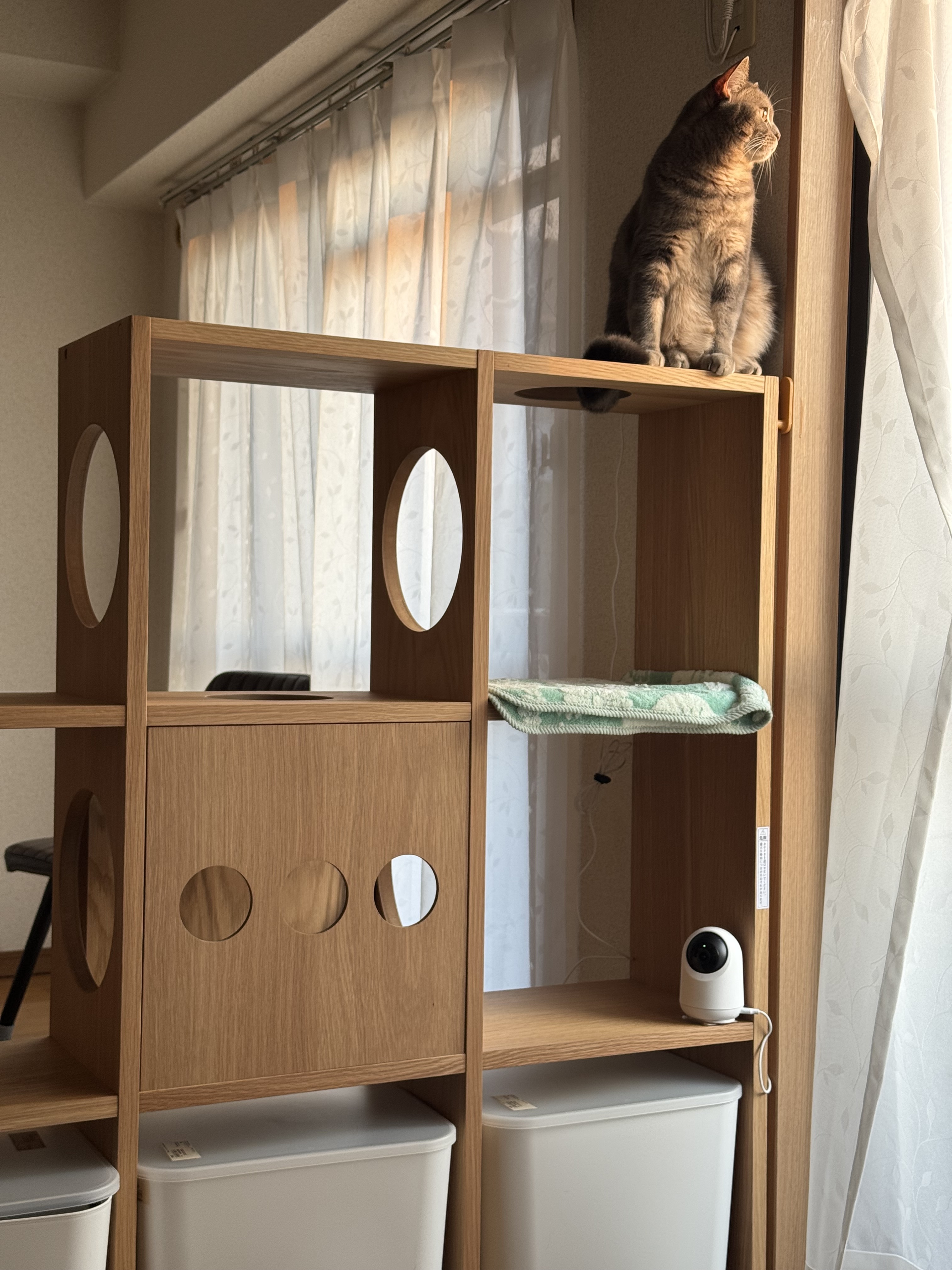 レビュー投稿画像