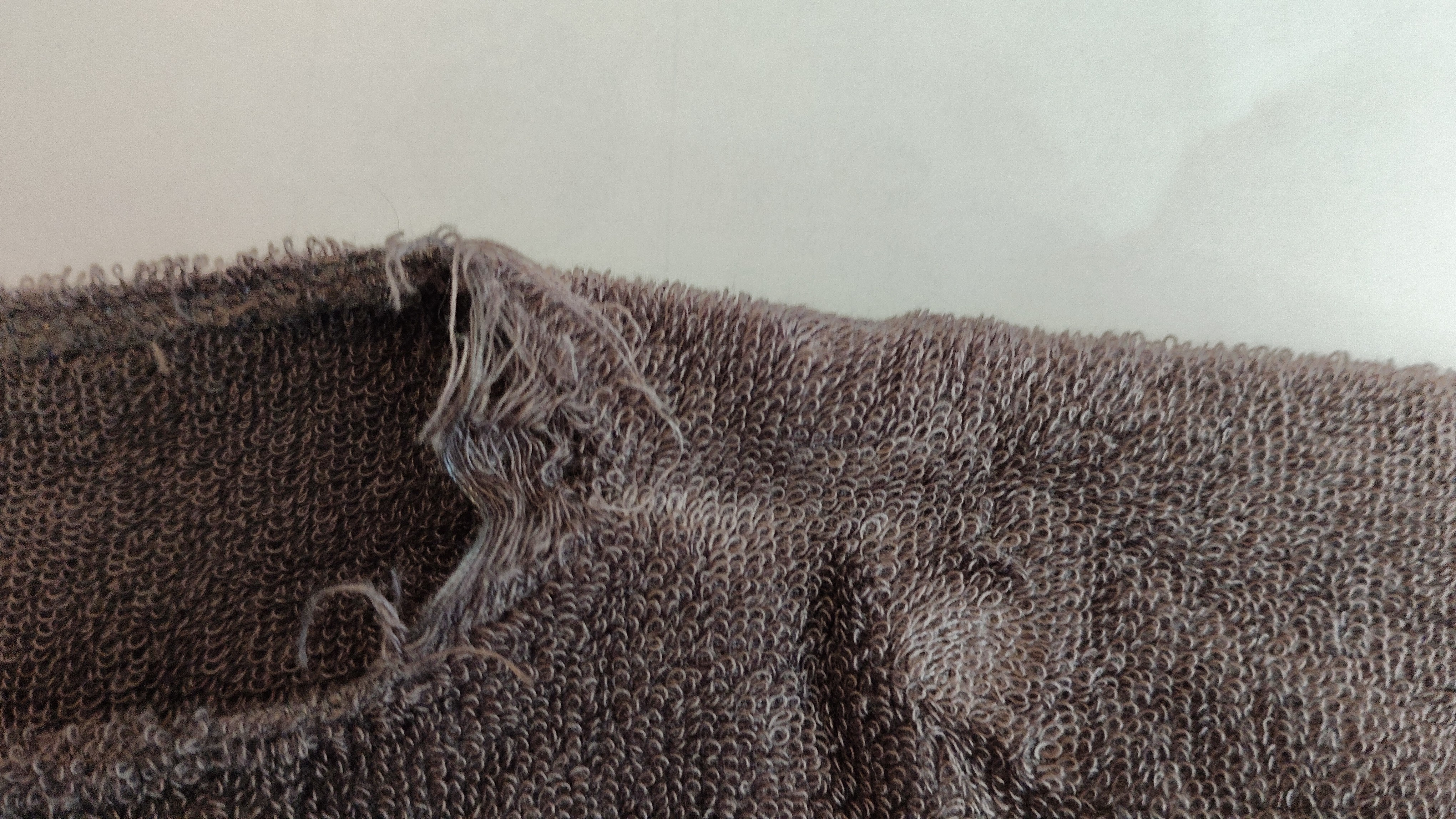 レビュー投稿画像