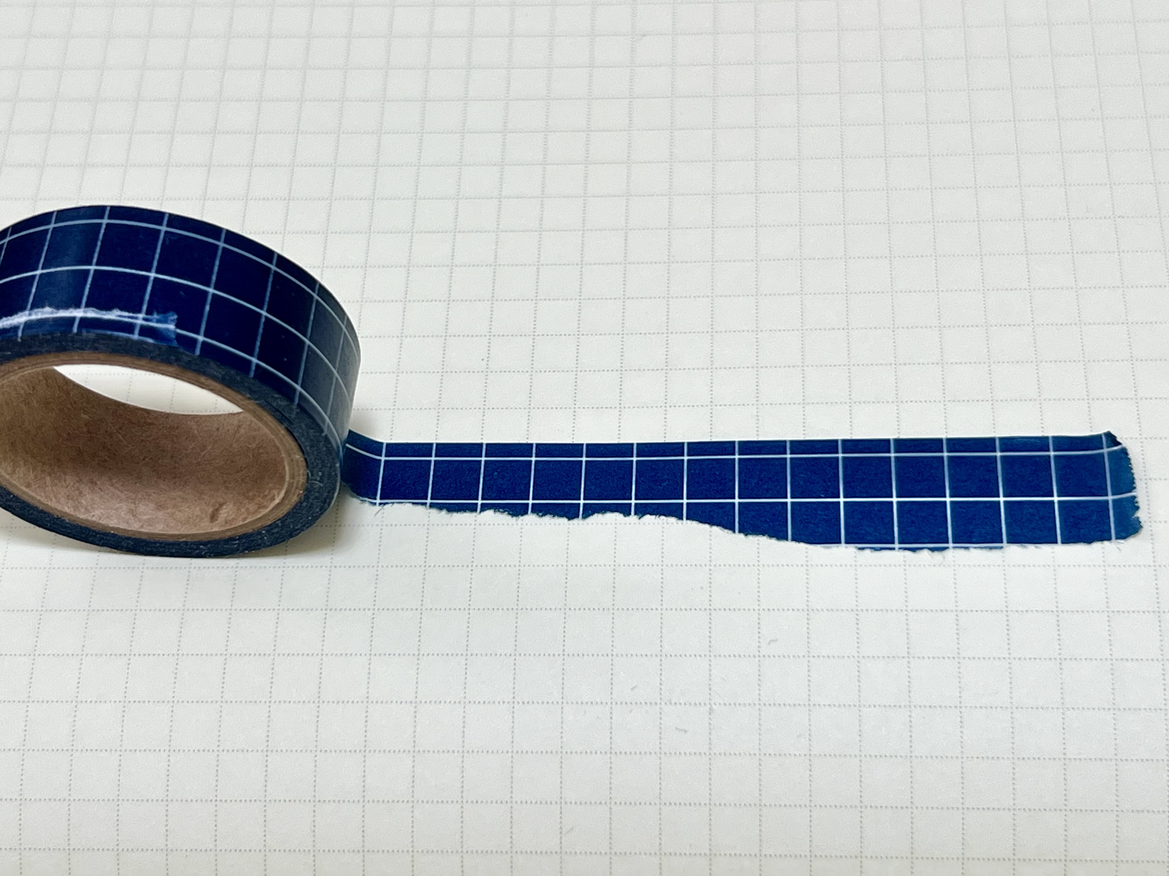 レビュー投稿画像