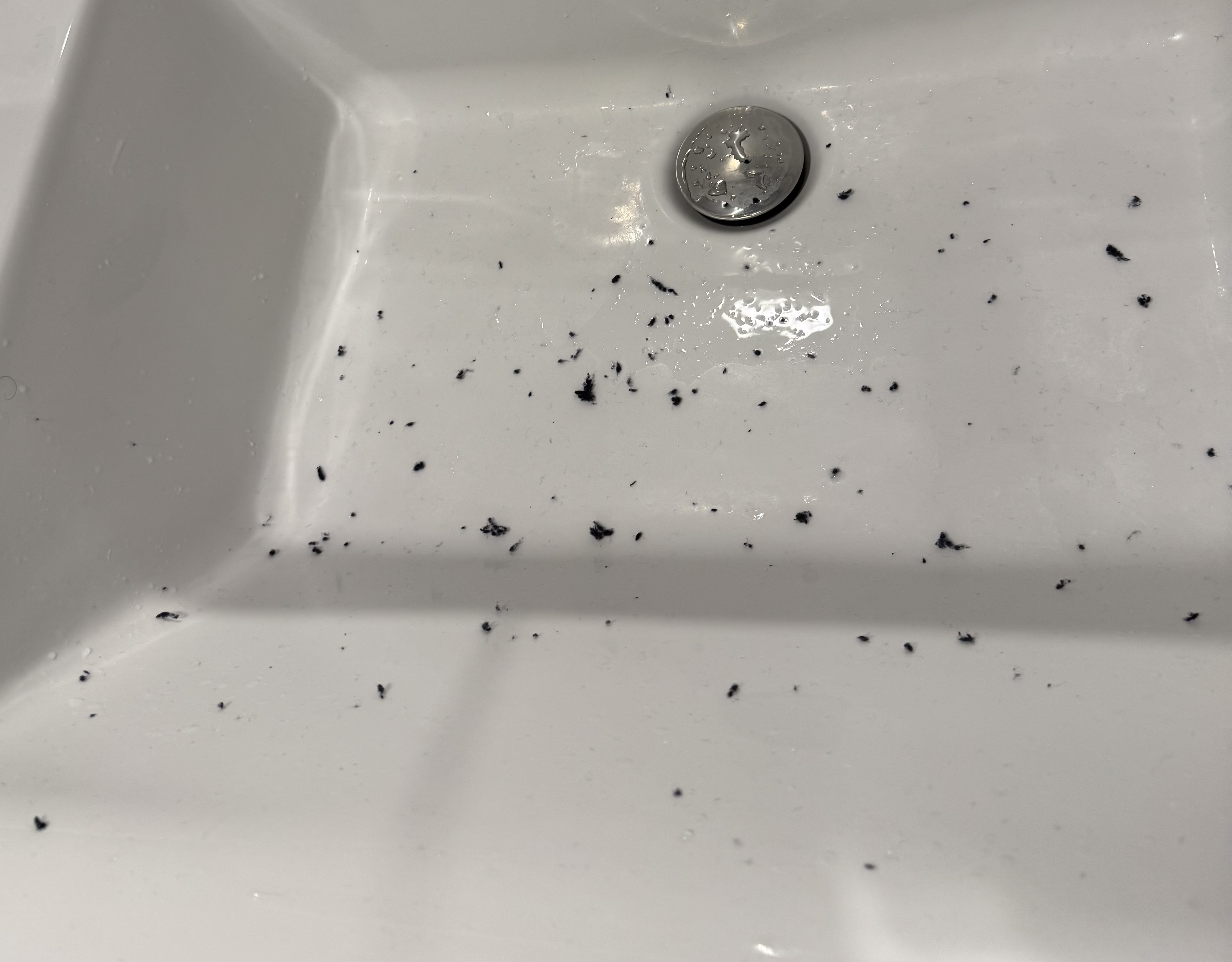 レビュー投稿画像