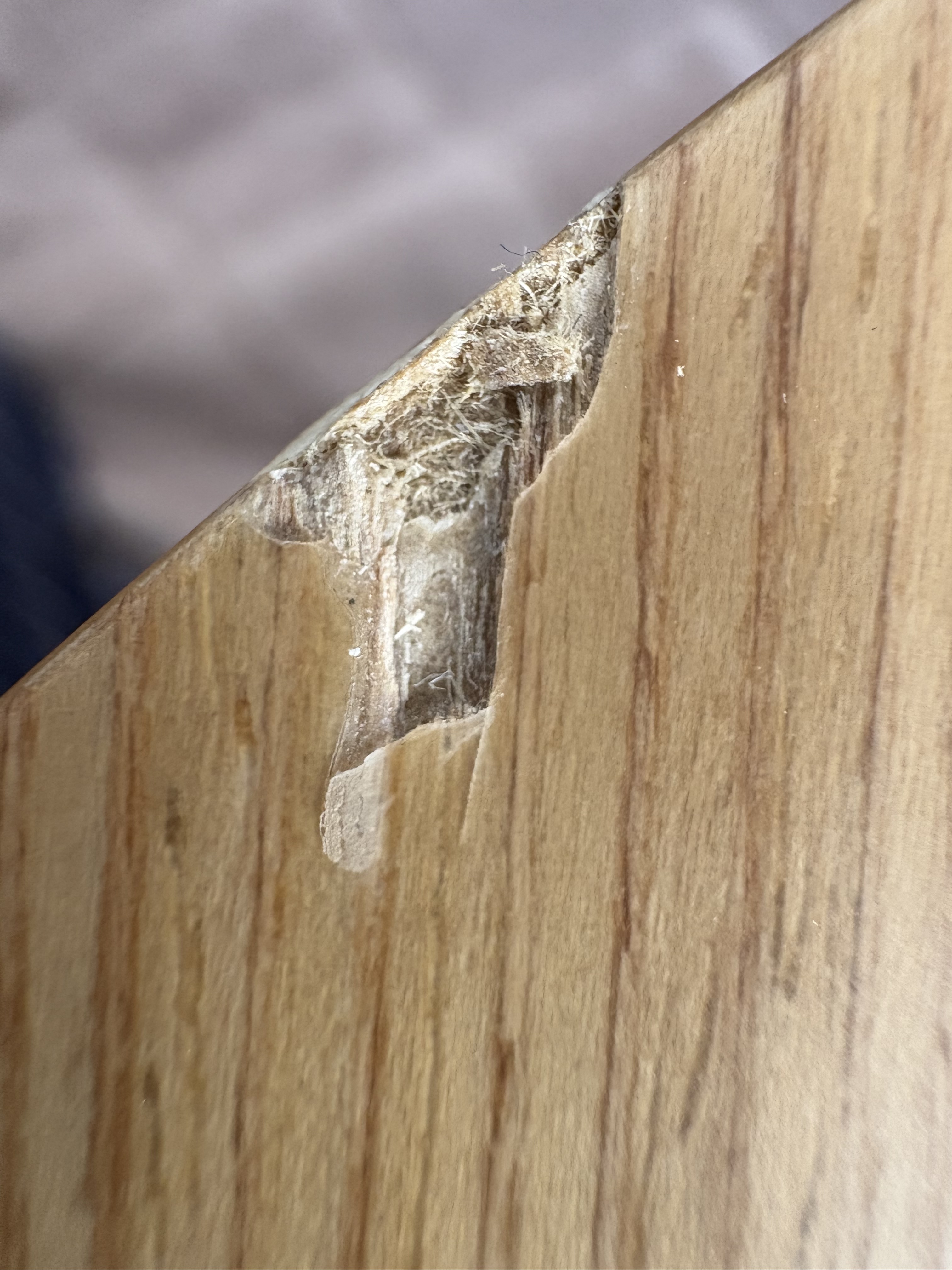 レビュー投稿画像