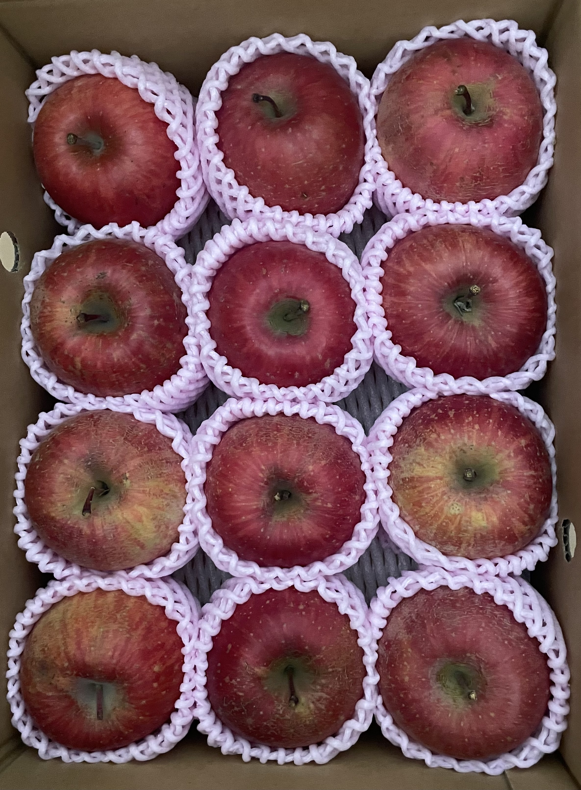 レビュー投稿画像