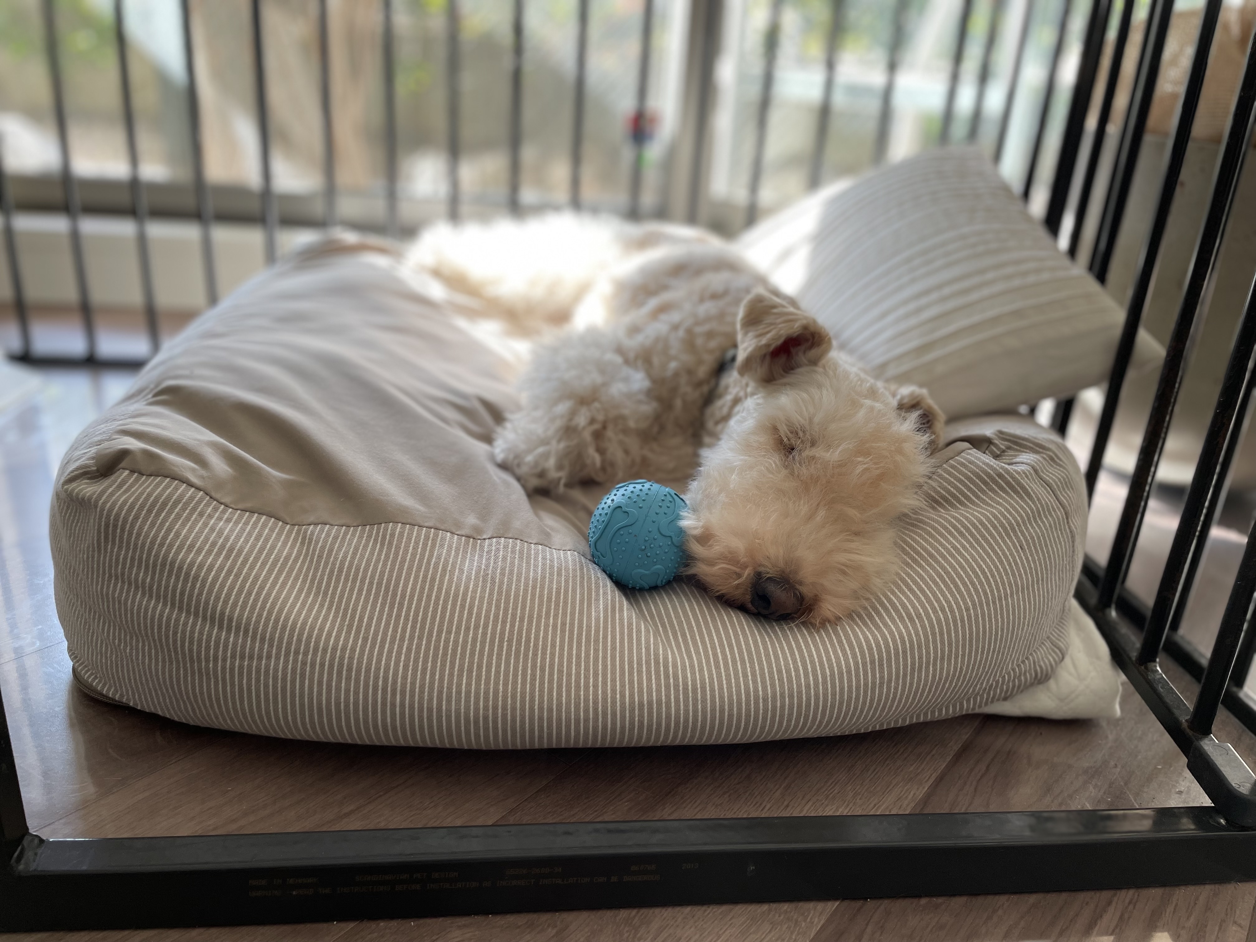 レビュー投稿画像