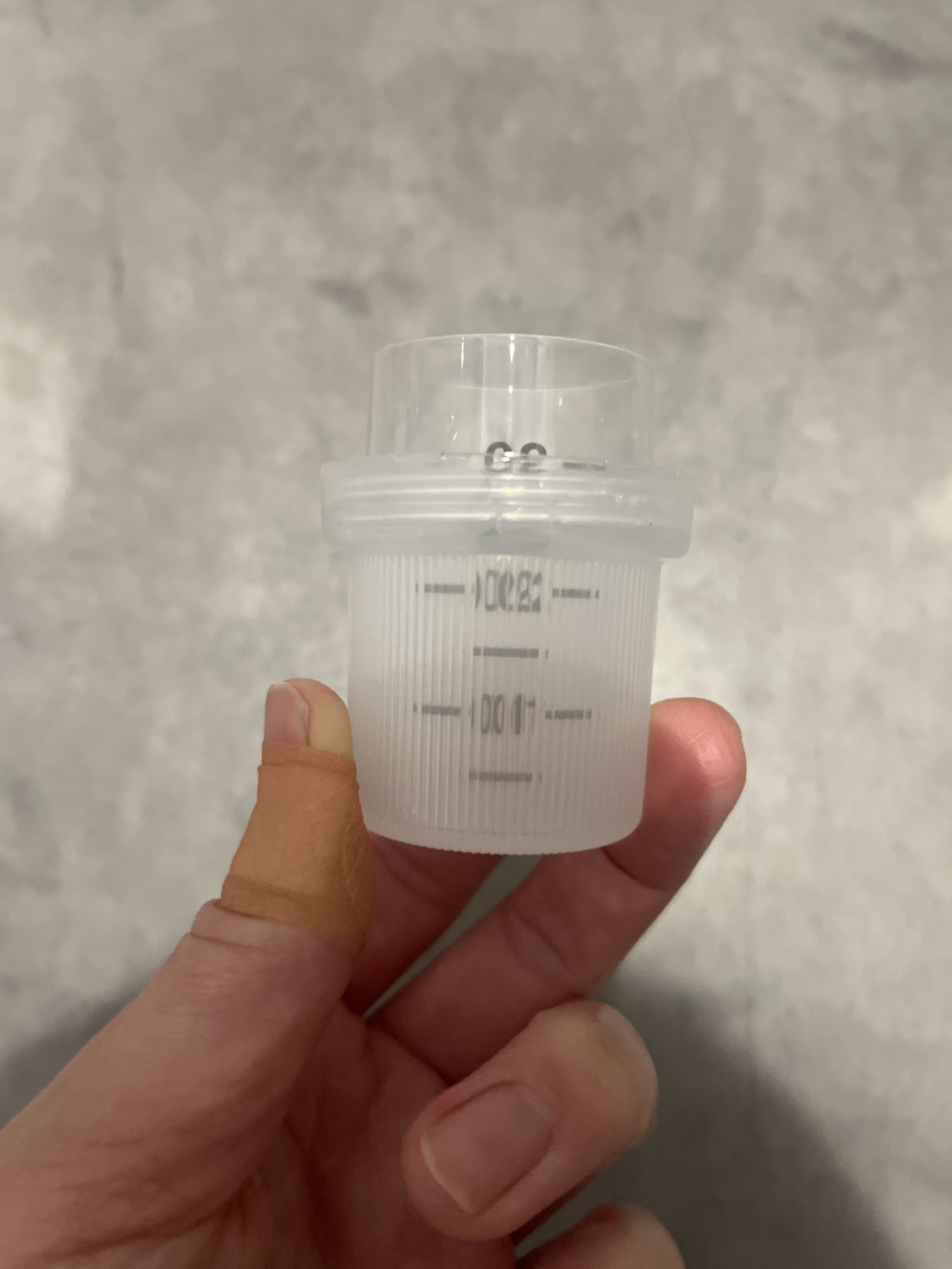 レビュー投稿画像