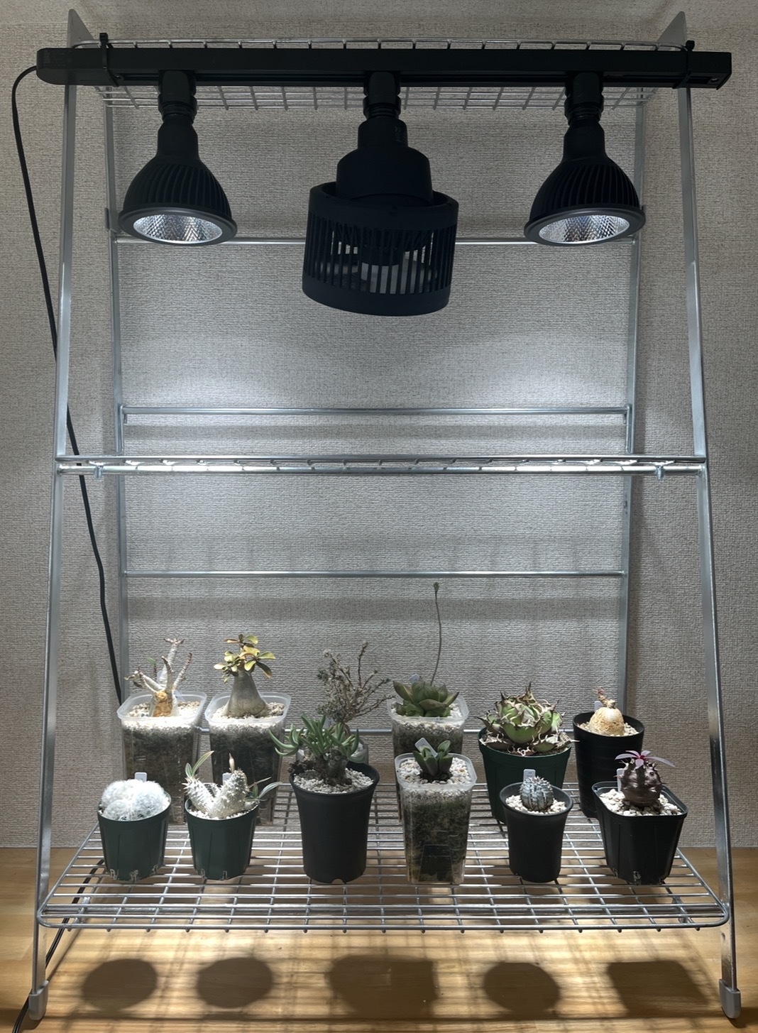 レビュー投稿画像