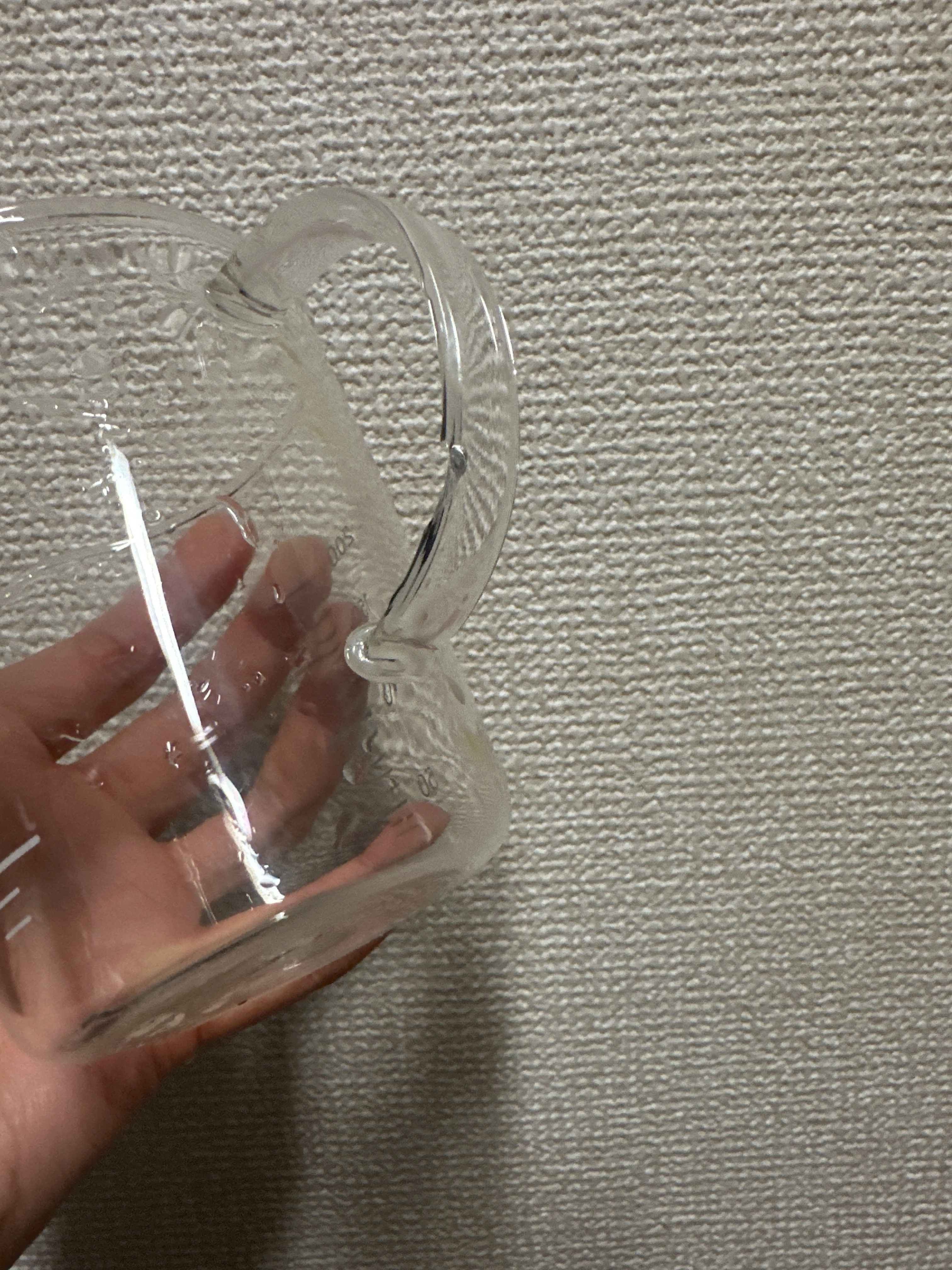 レビュー投稿画像