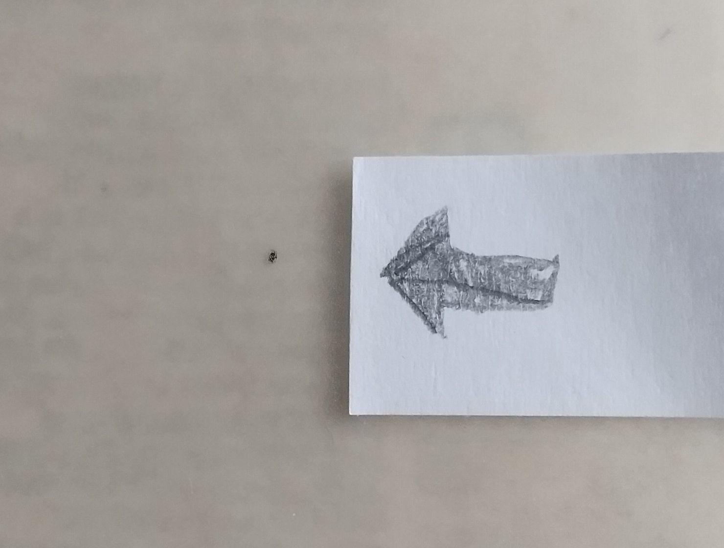 レビュー投稿画像