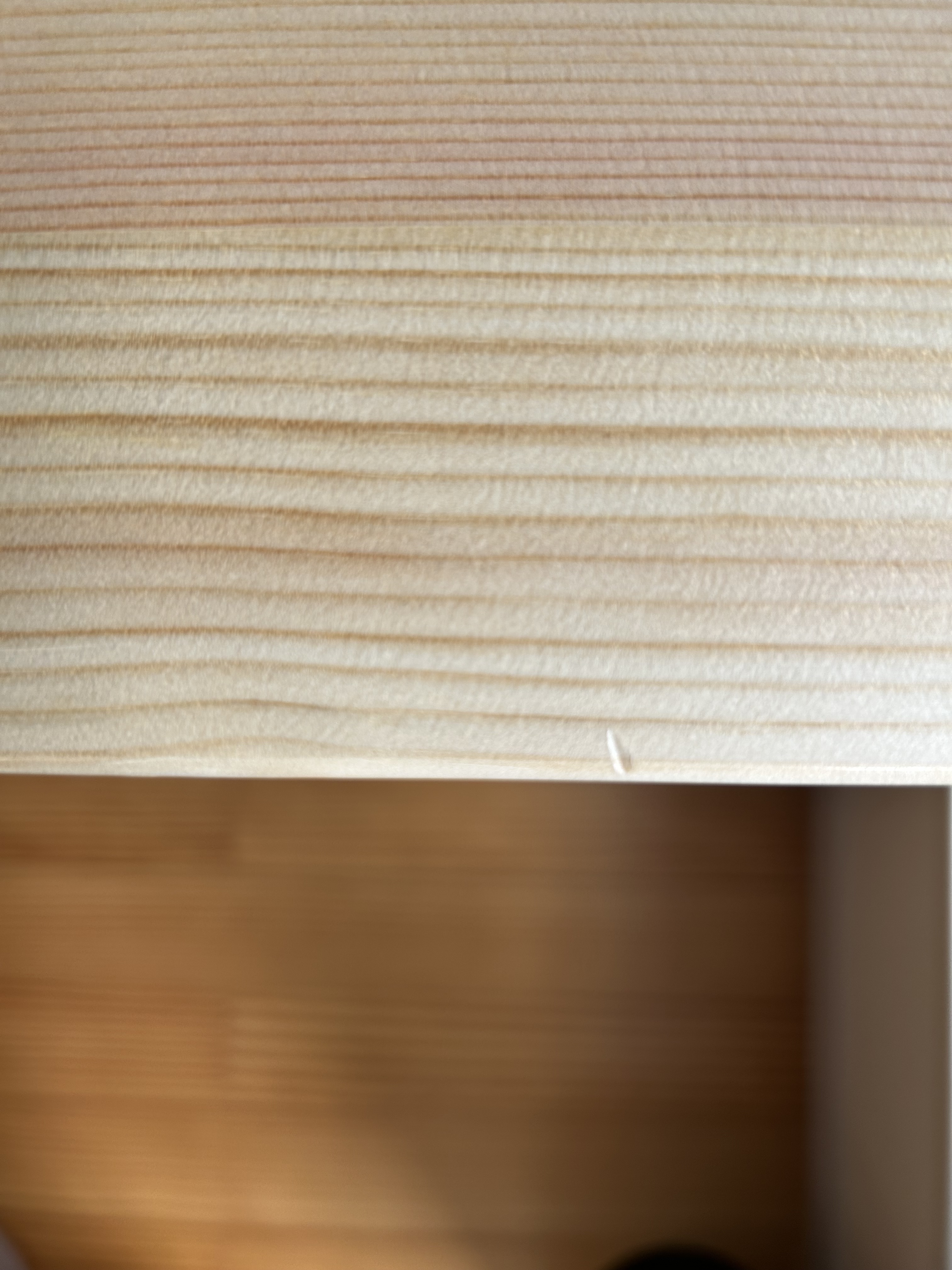 レビュー投稿画像