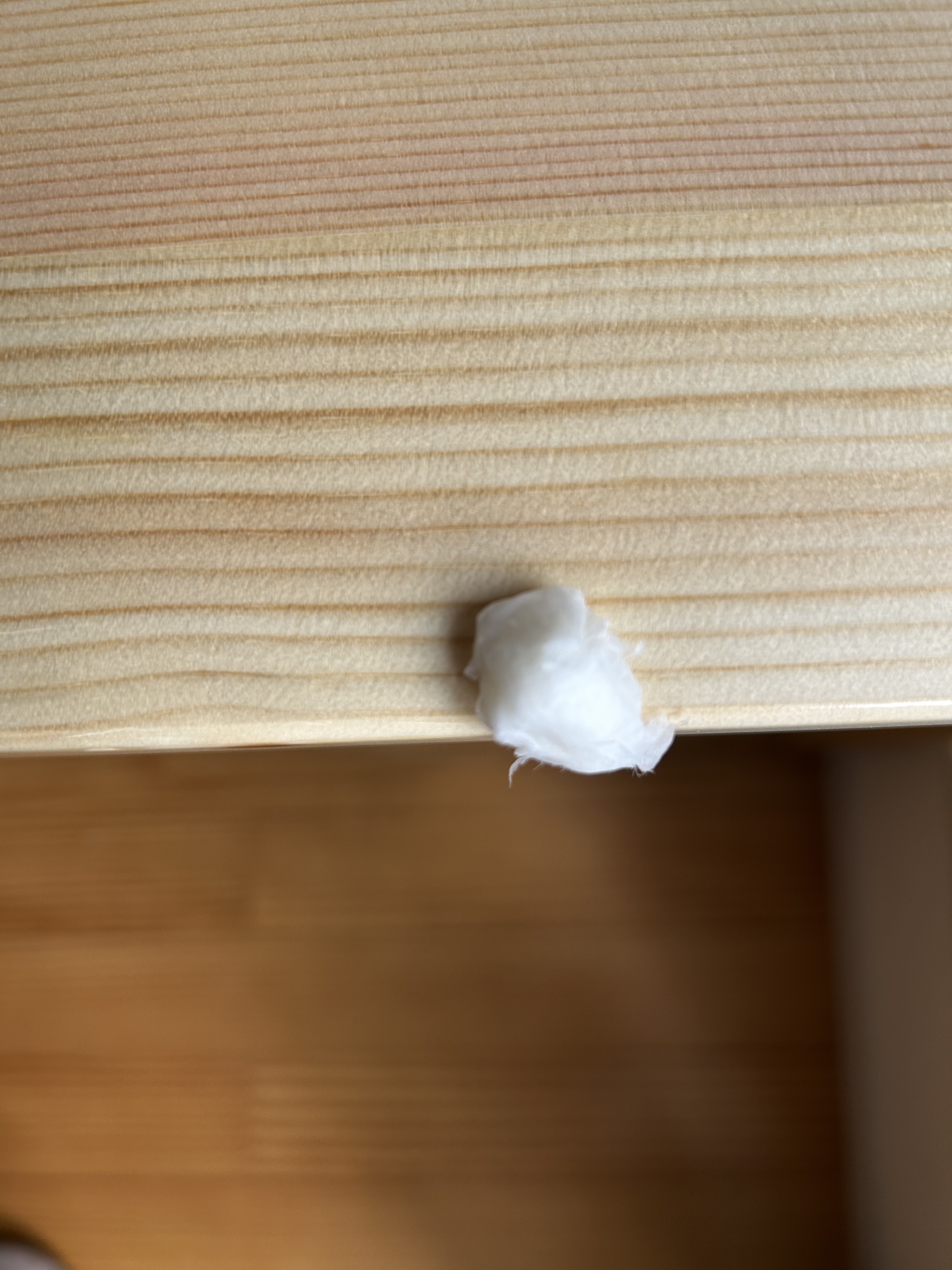 レビュー投稿画像