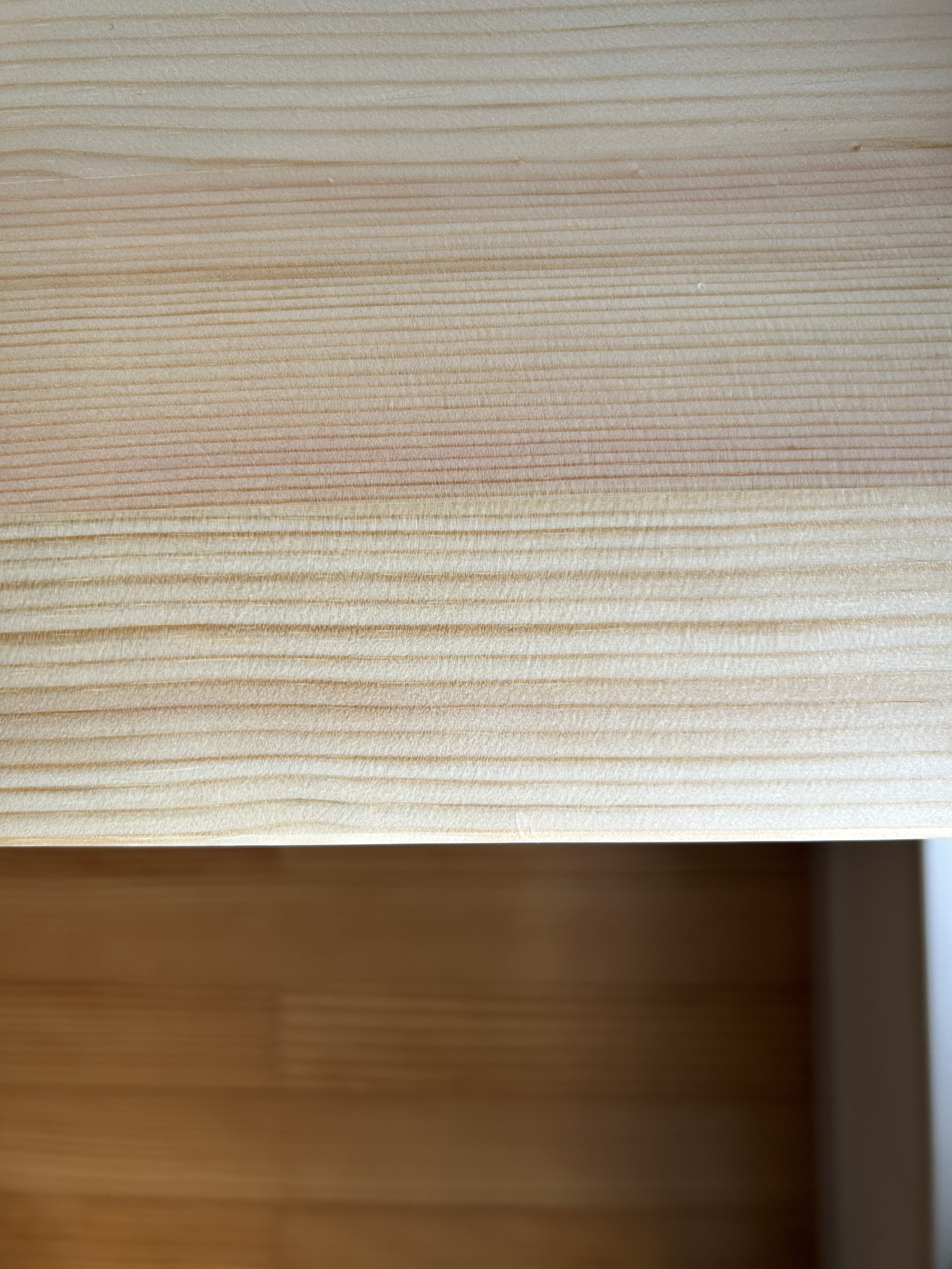 レビュー投稿画像