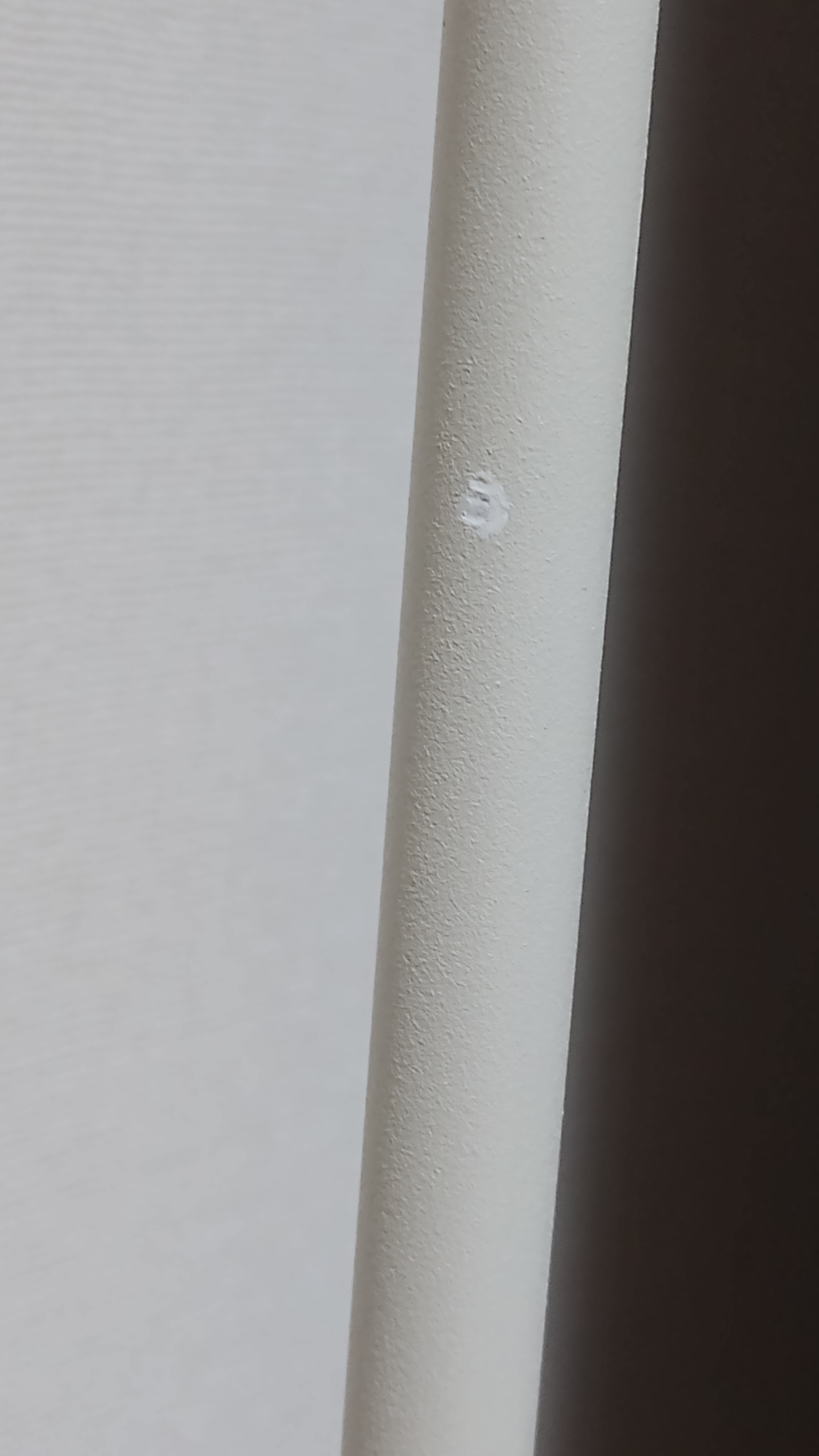 レビュー投稿画像