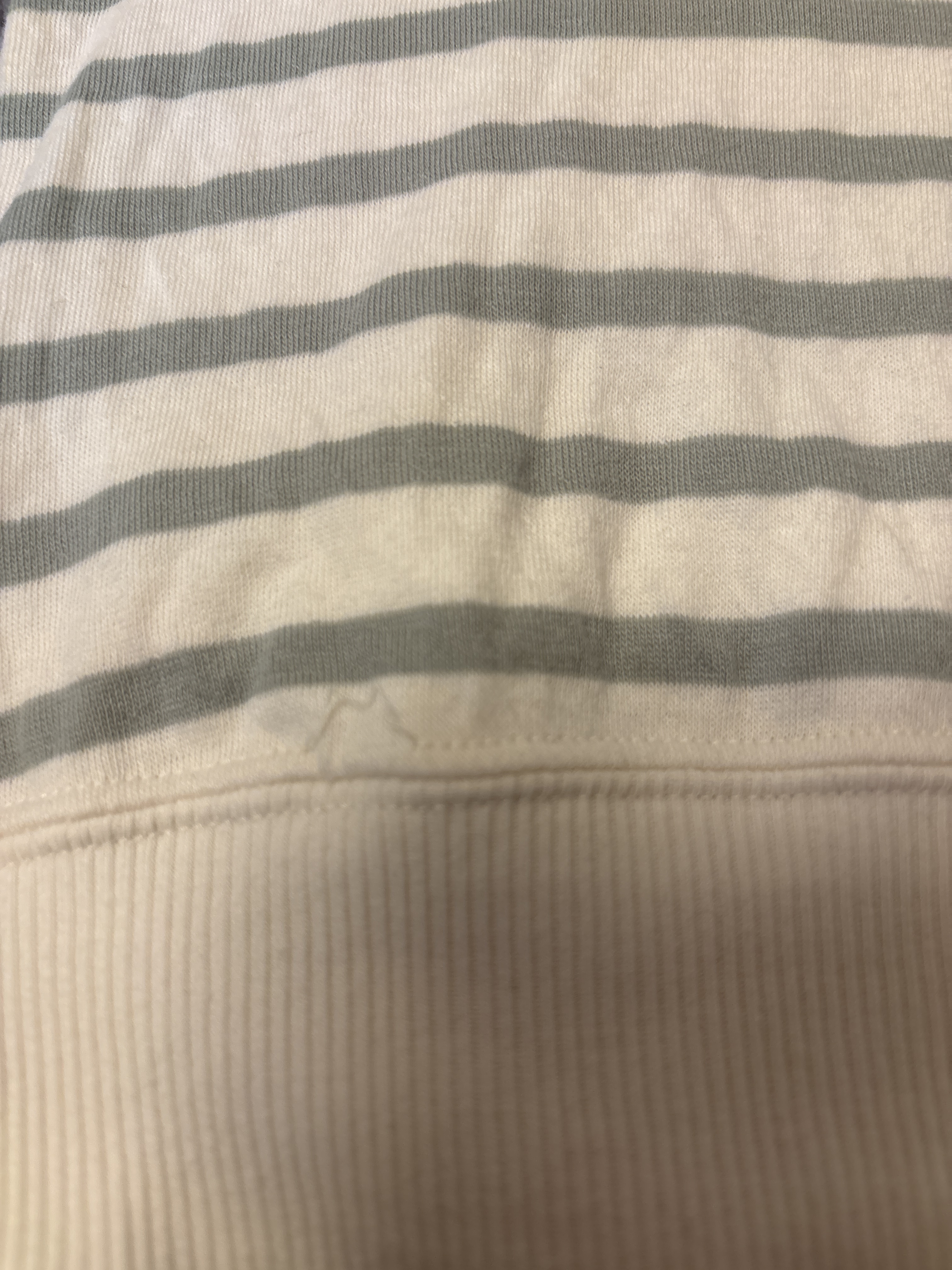 レビュー投稿画像