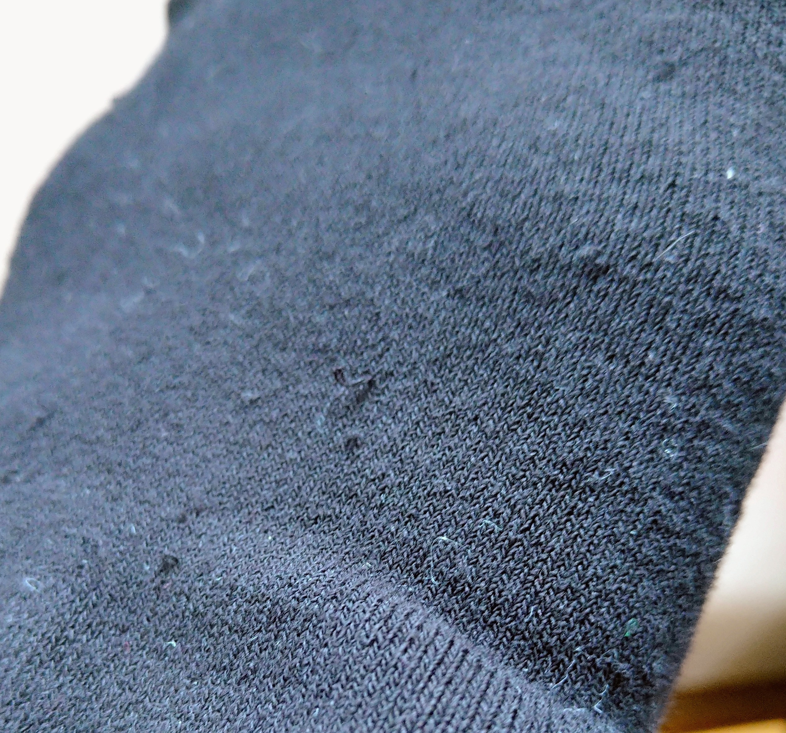 レビュー投稿画像