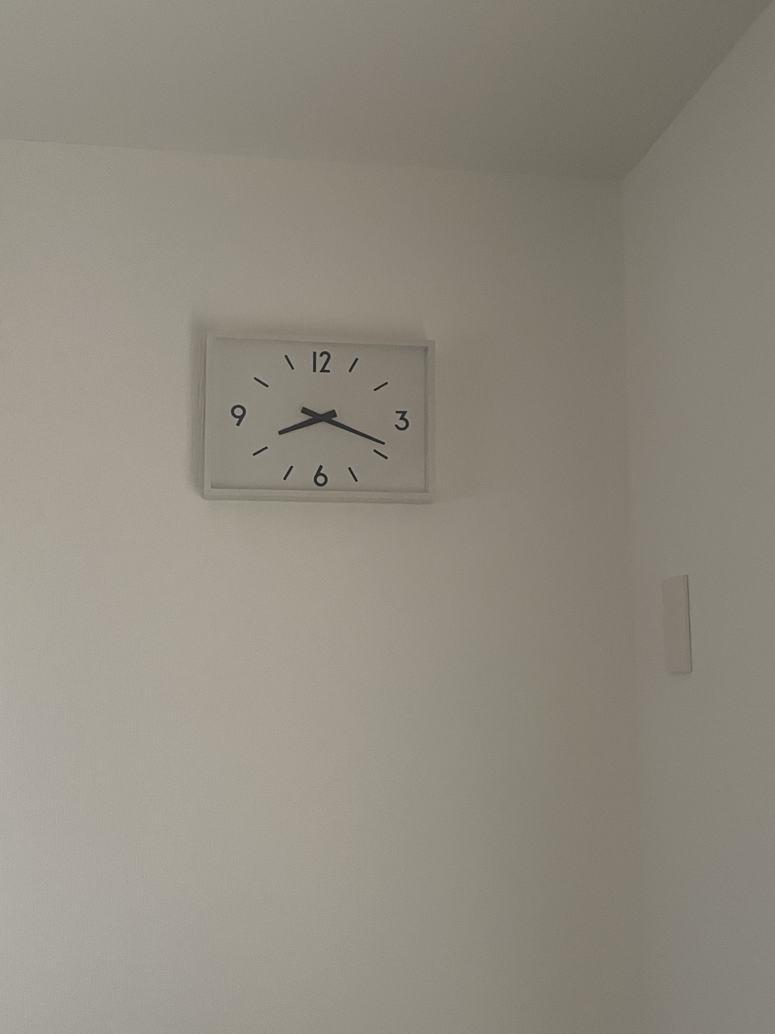 レビュー投稿画像