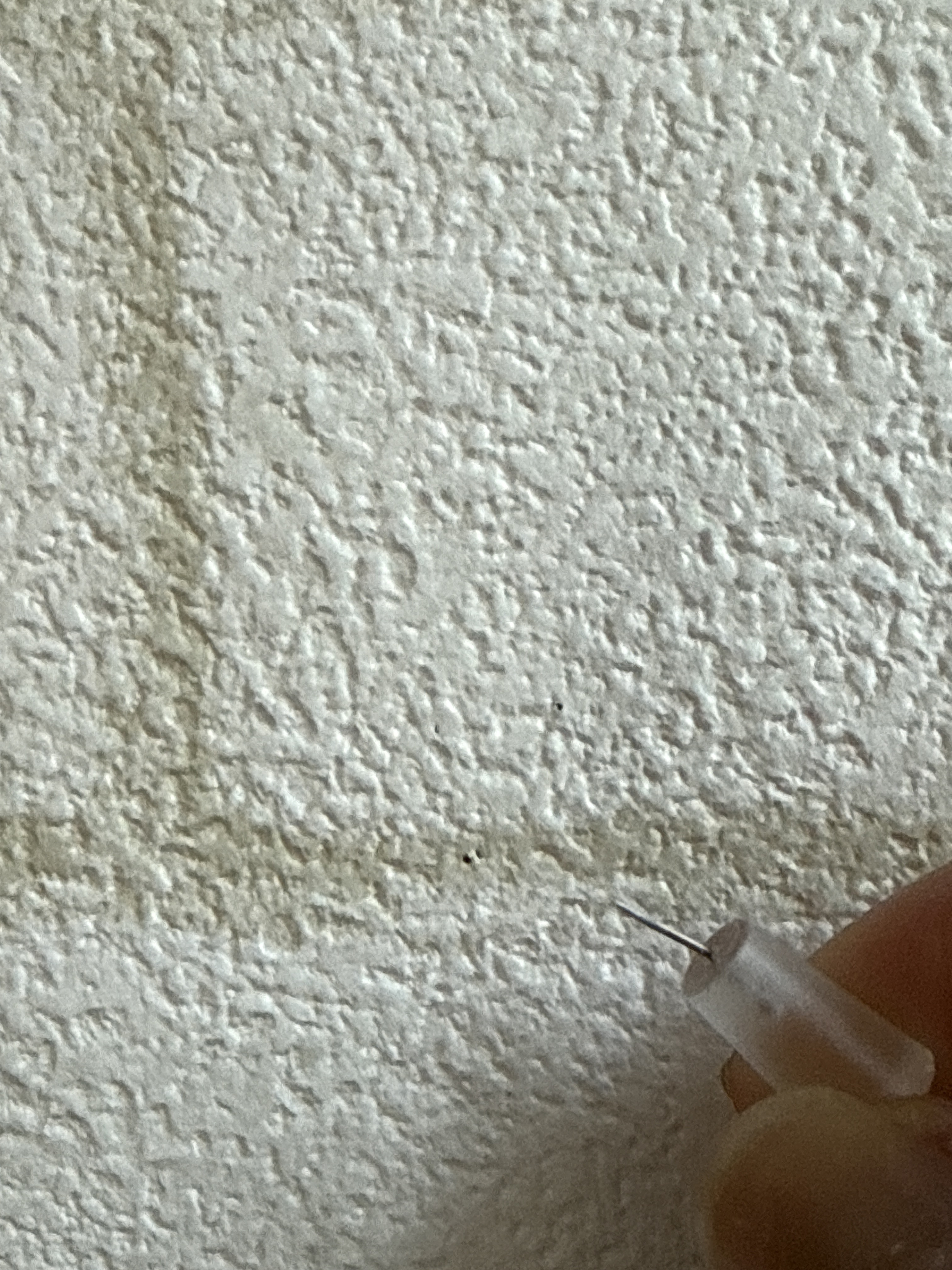 レビュー投稿画像