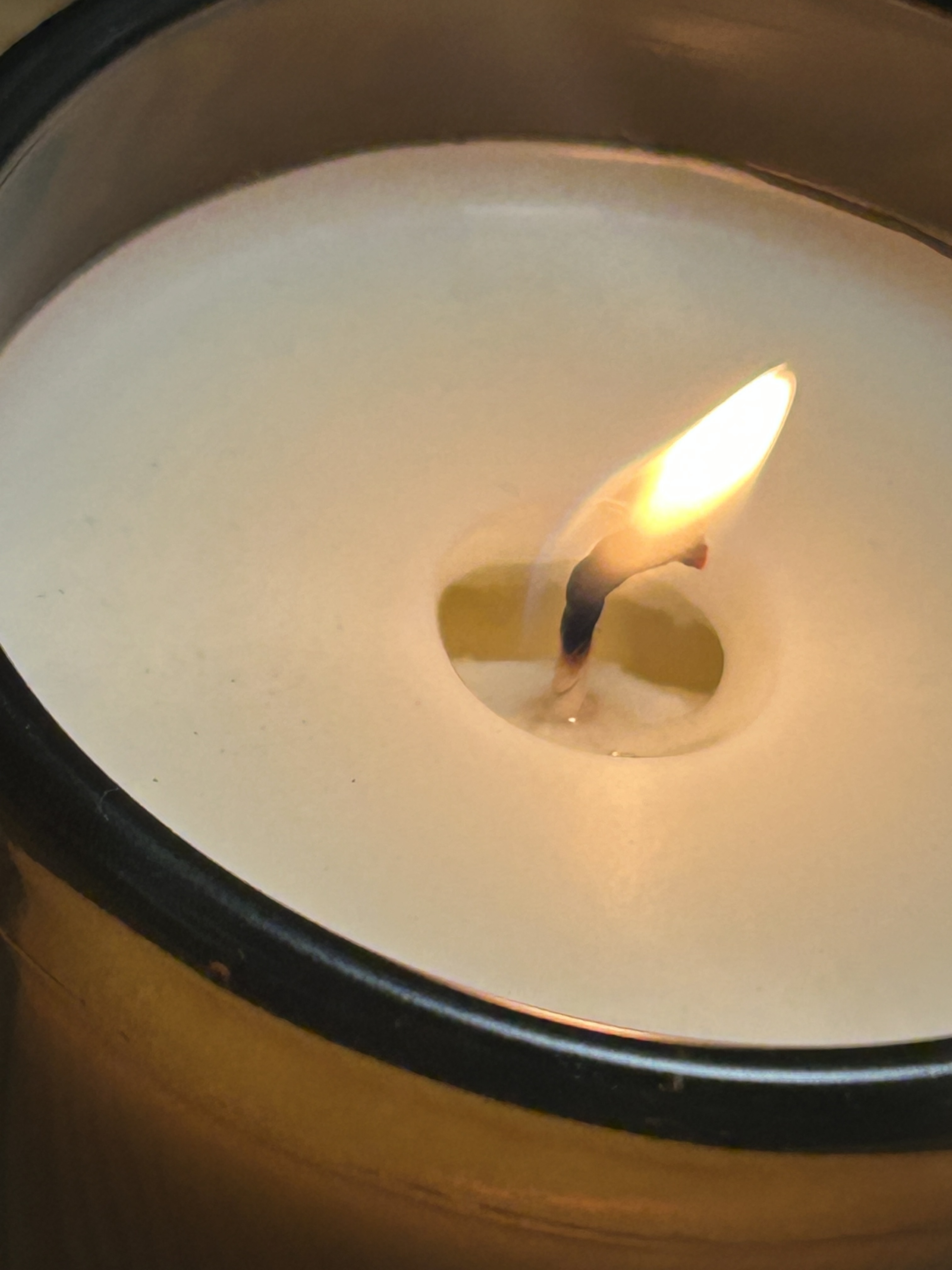 レビュー投稿画像