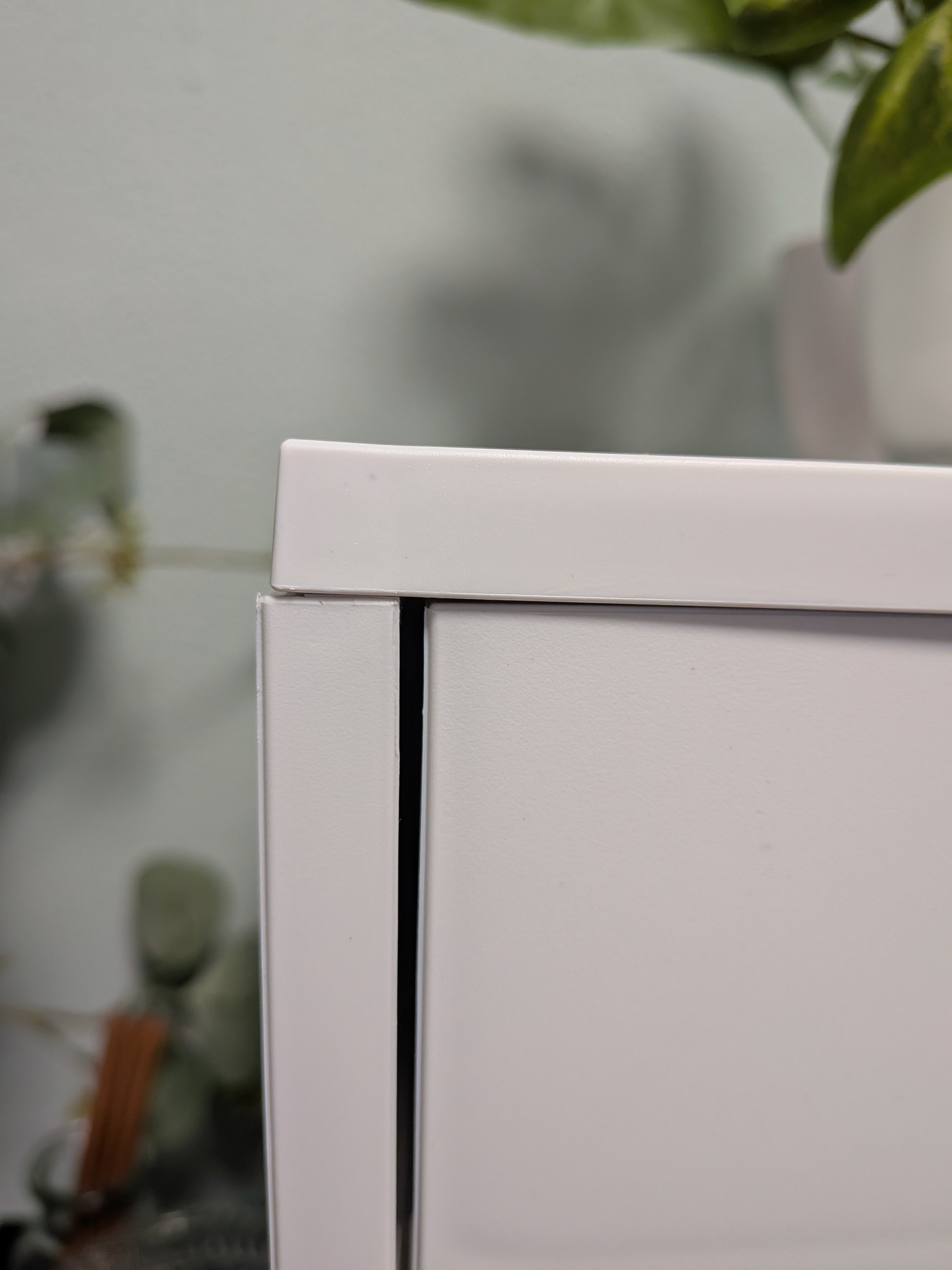 レビュー投稿画像