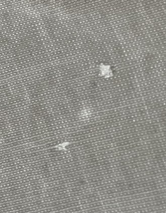 レビュー投稿画像