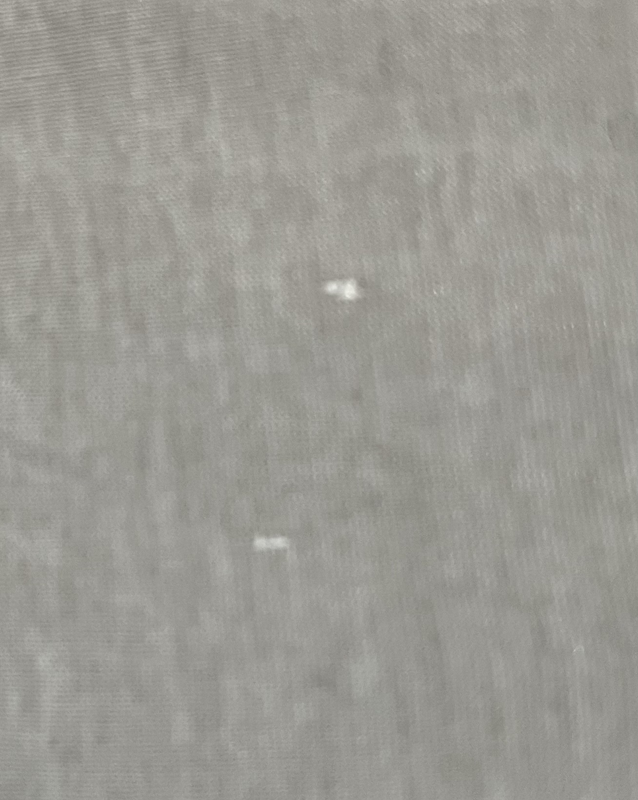 レビュー投稿画像