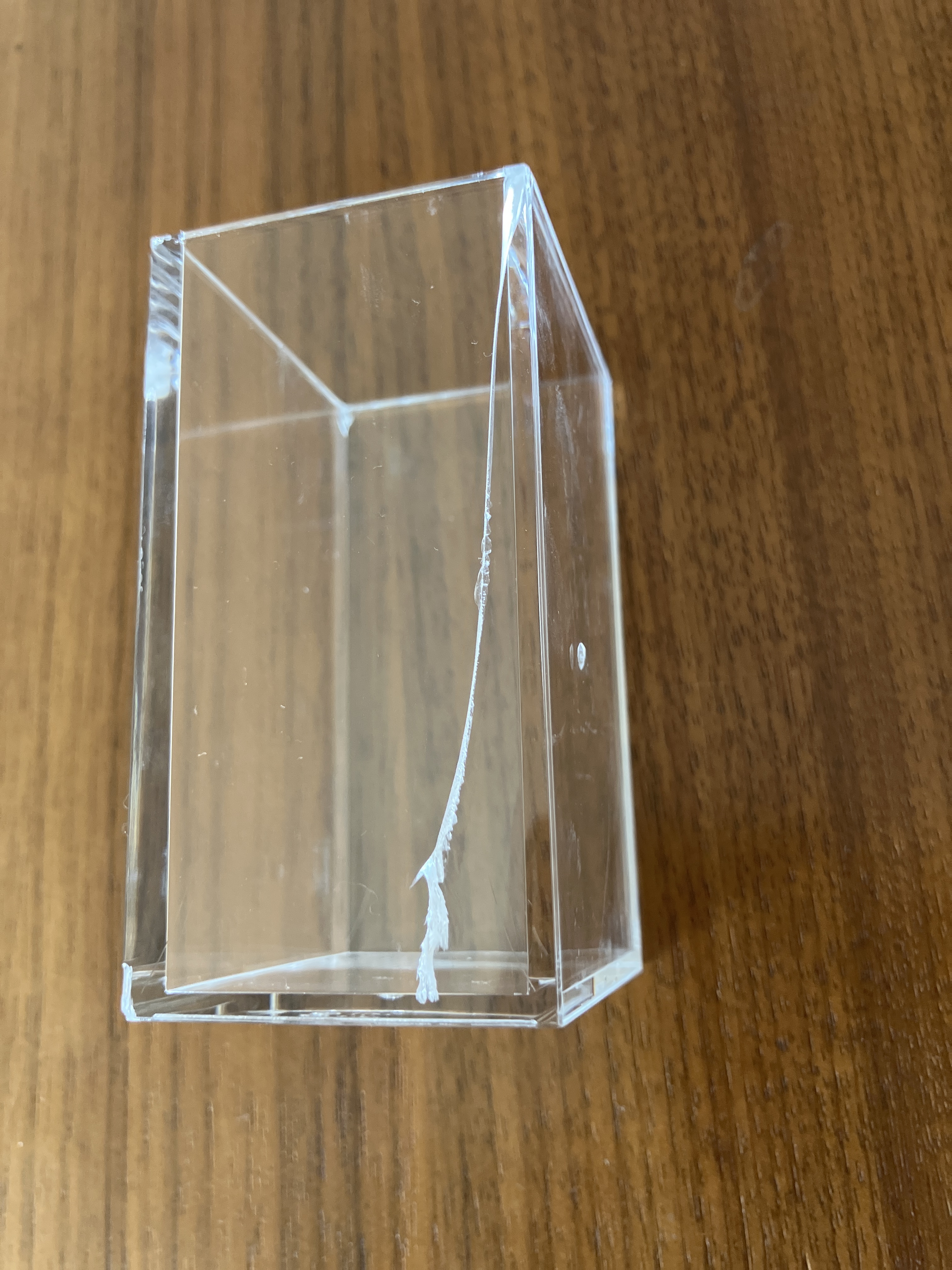 レビュー投稿画像