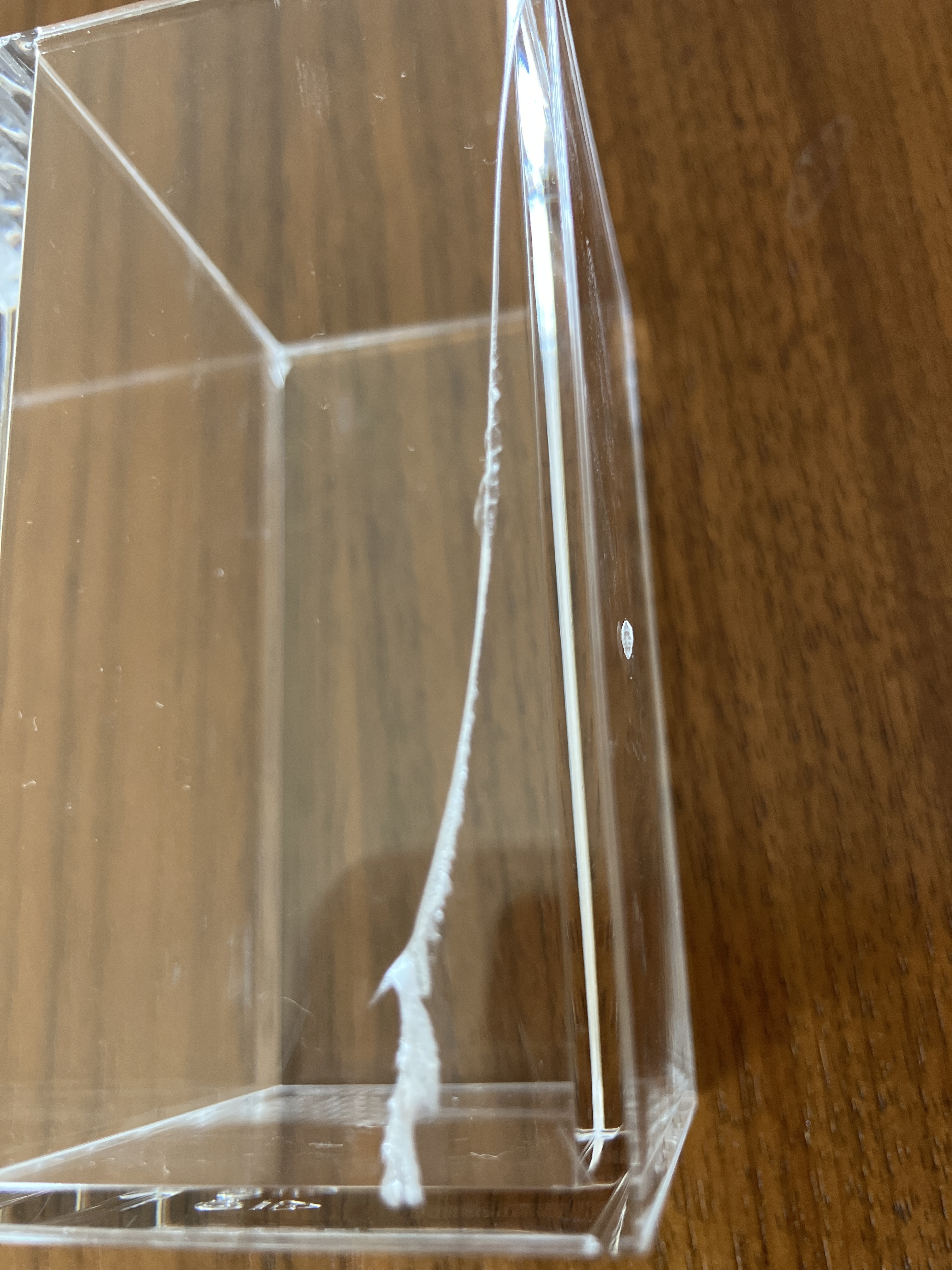 レビュー投稿画像