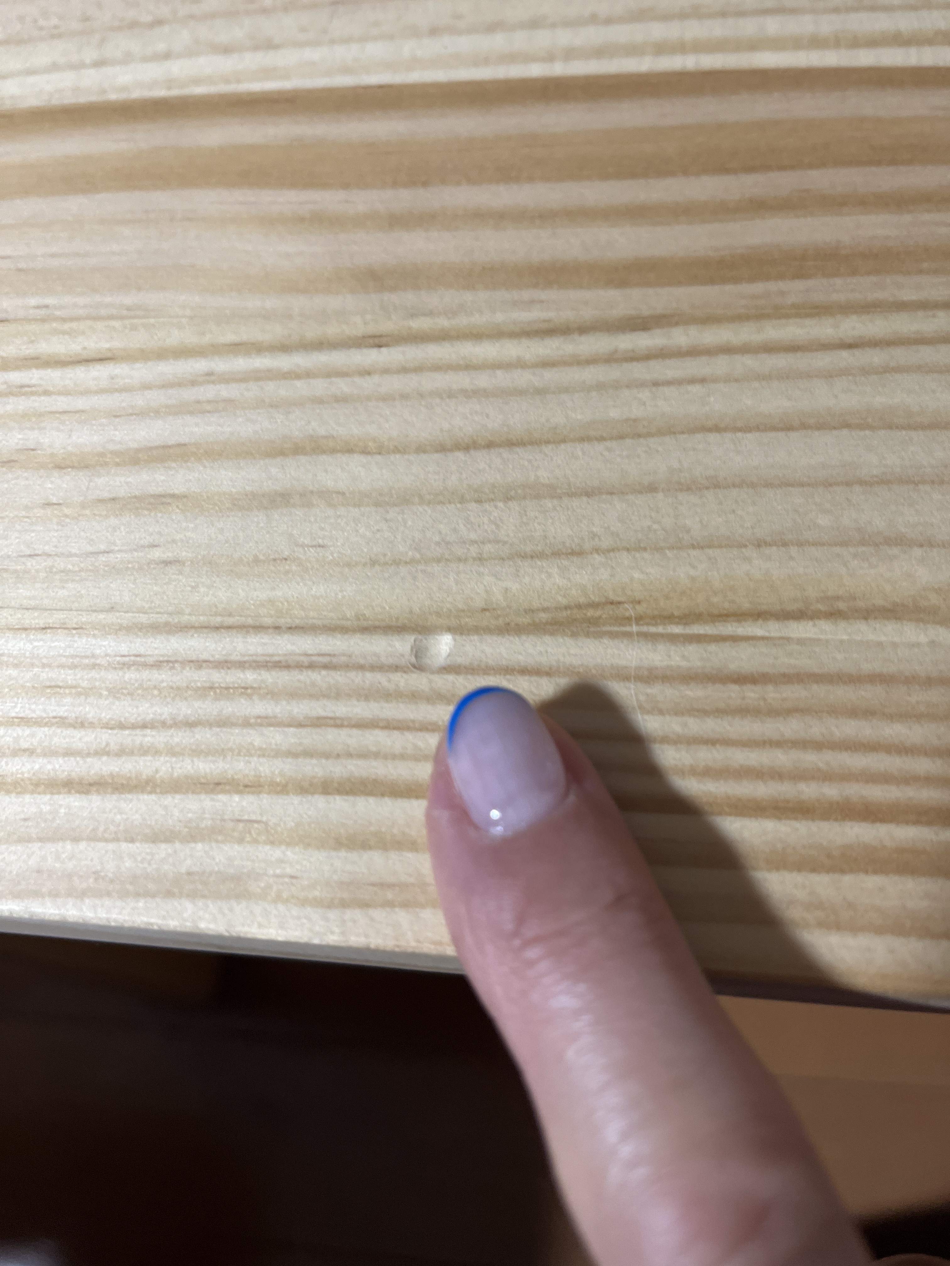 レビュー投稿画像