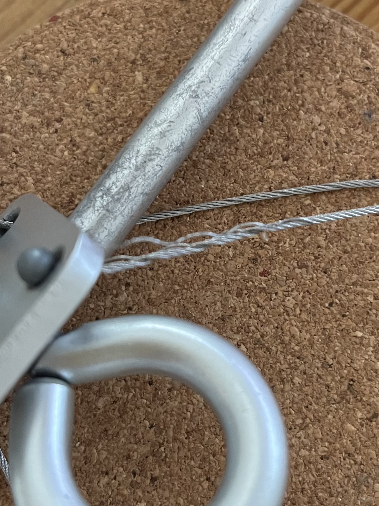 レビュー投稿画像