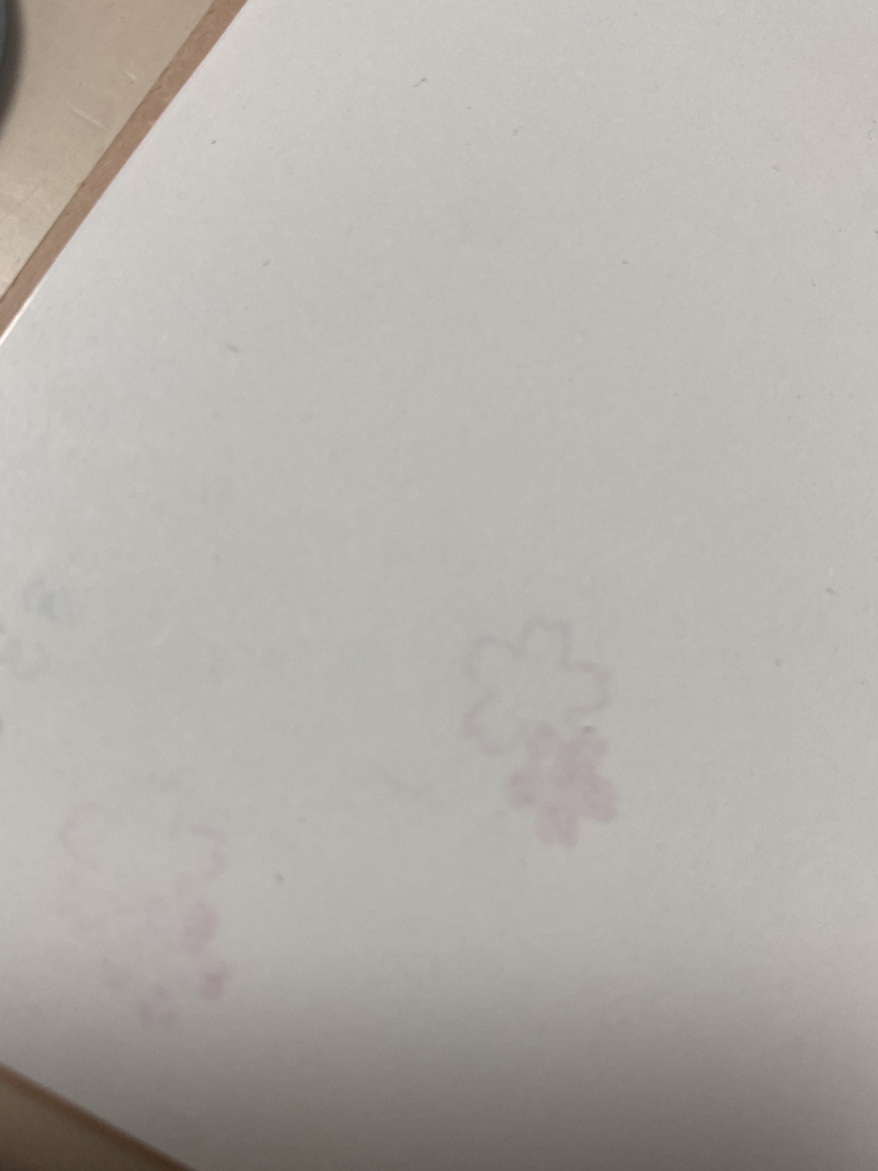 レビュー投稿画像