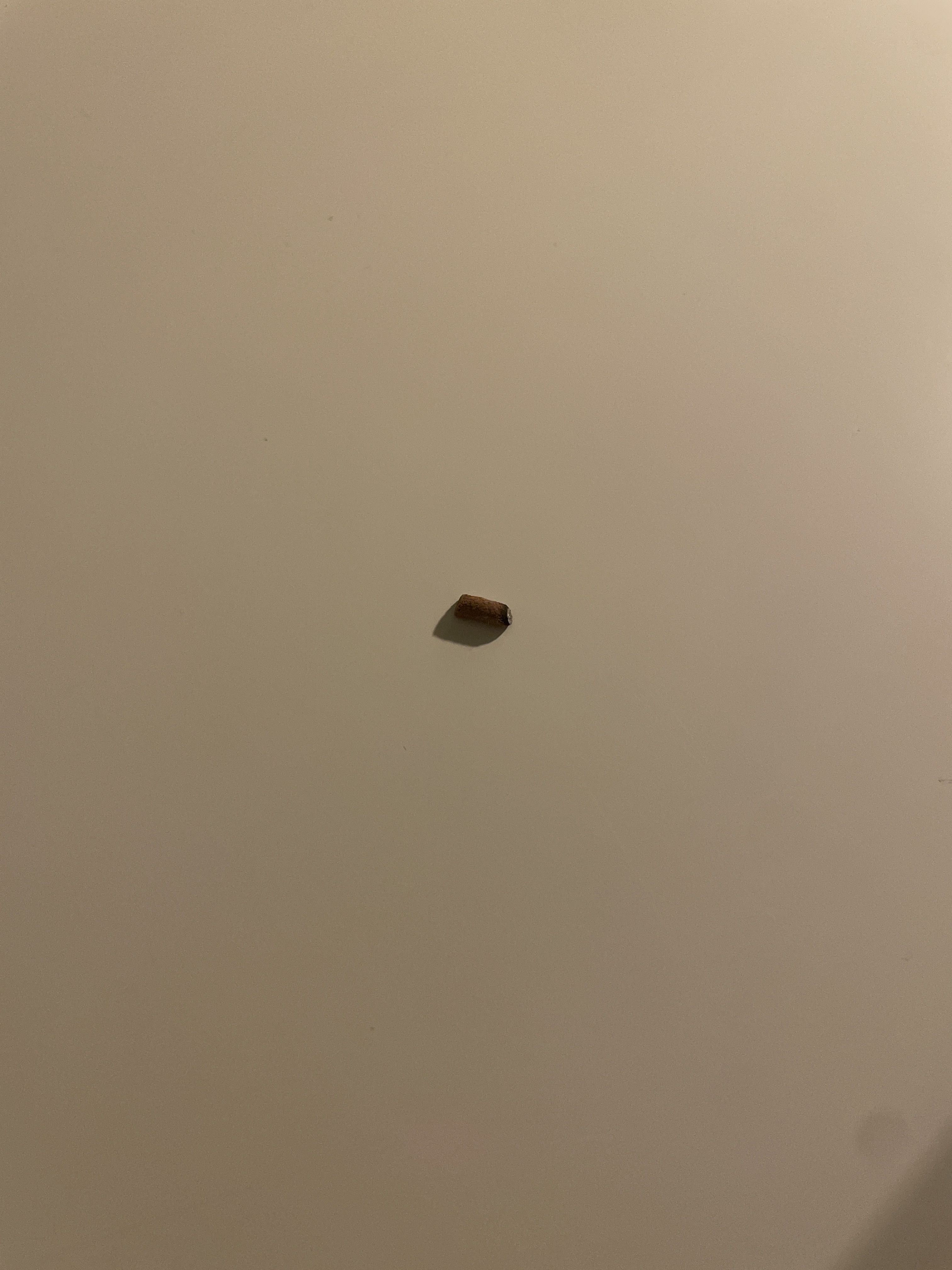 レビュー投稿画像