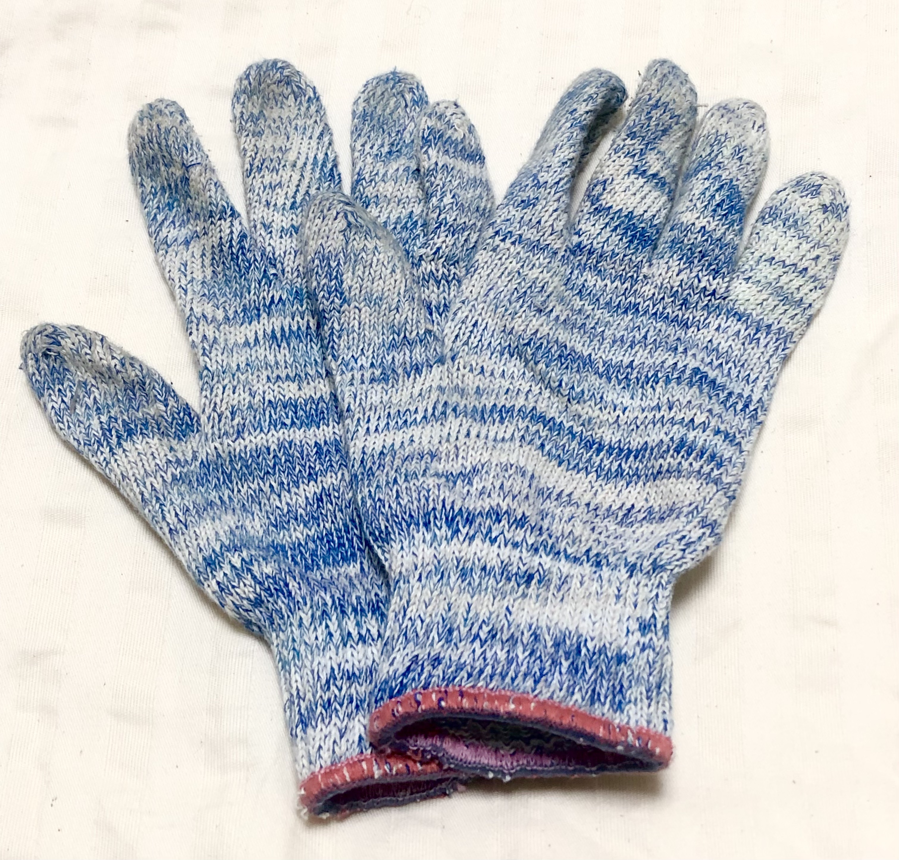 レビュー投稿画像