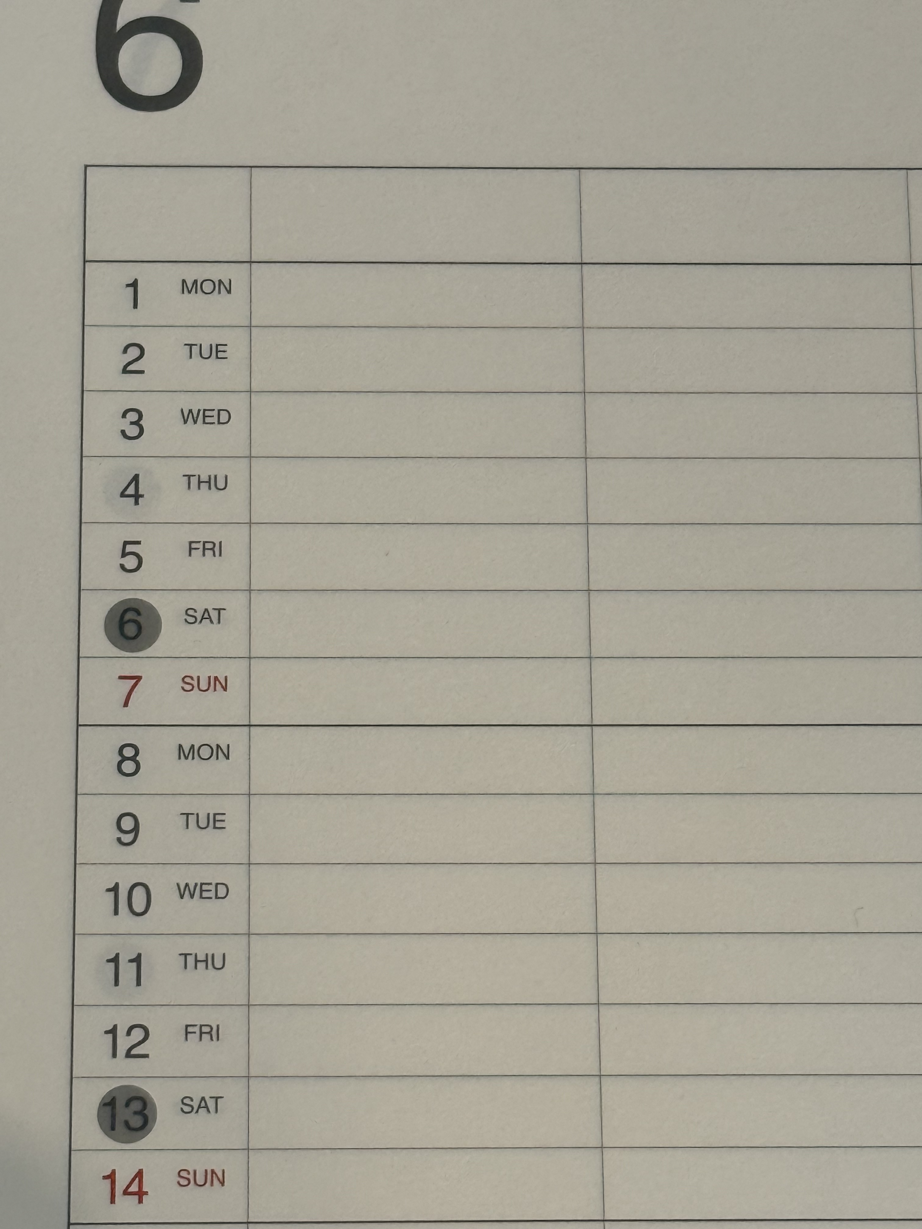 レビュー投稿画像