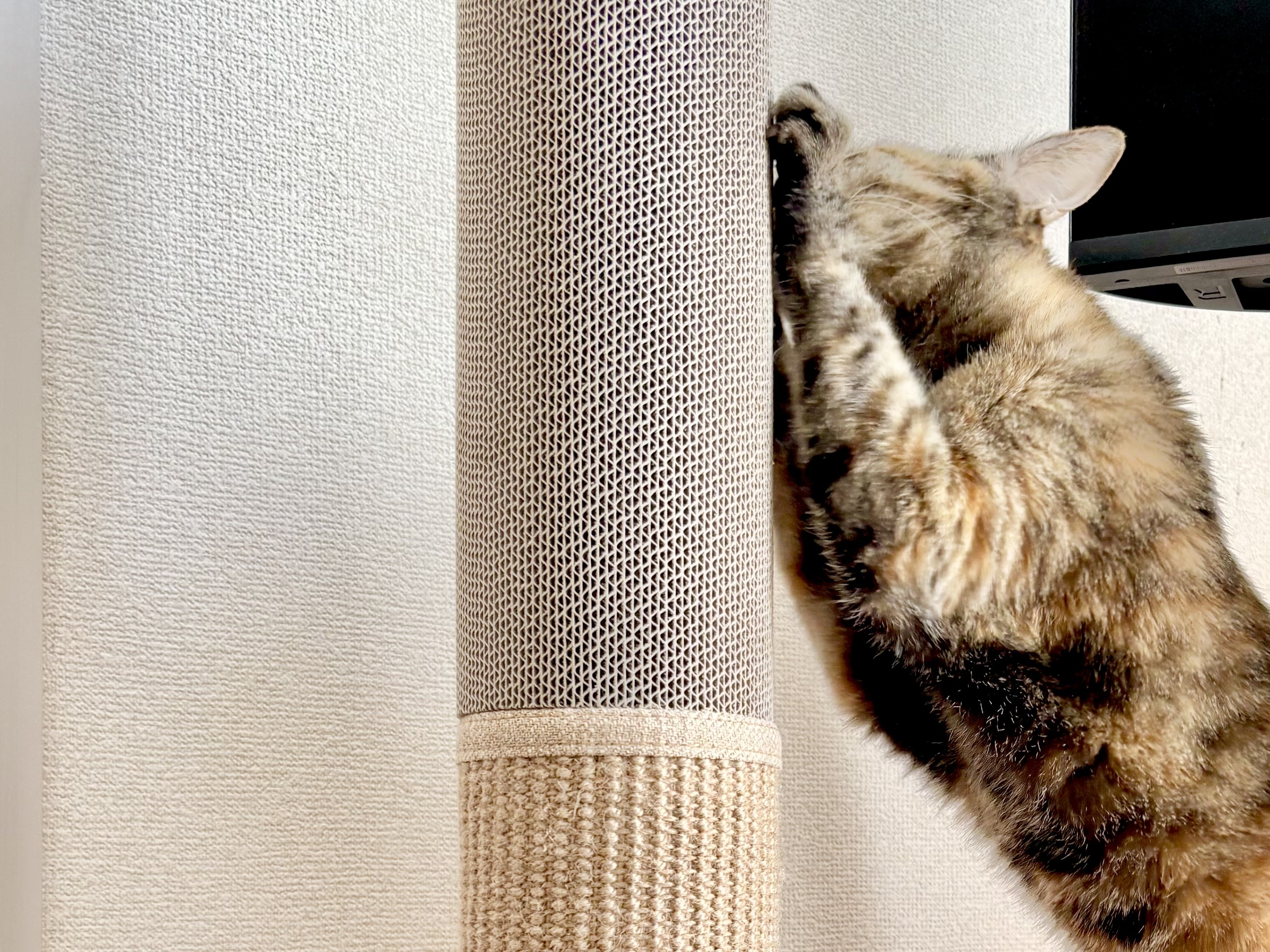 レビュー投稿画像