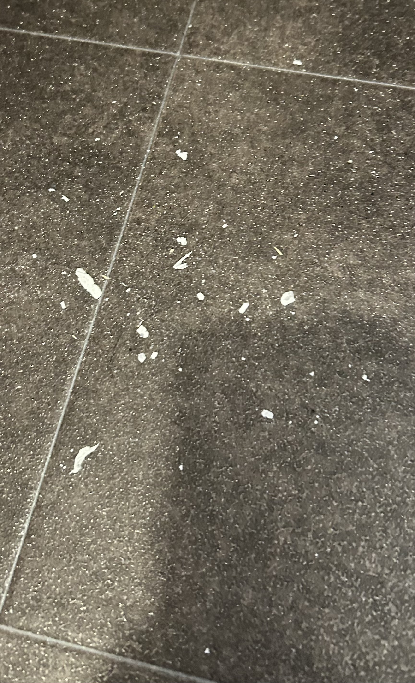 レビュー投稿画像