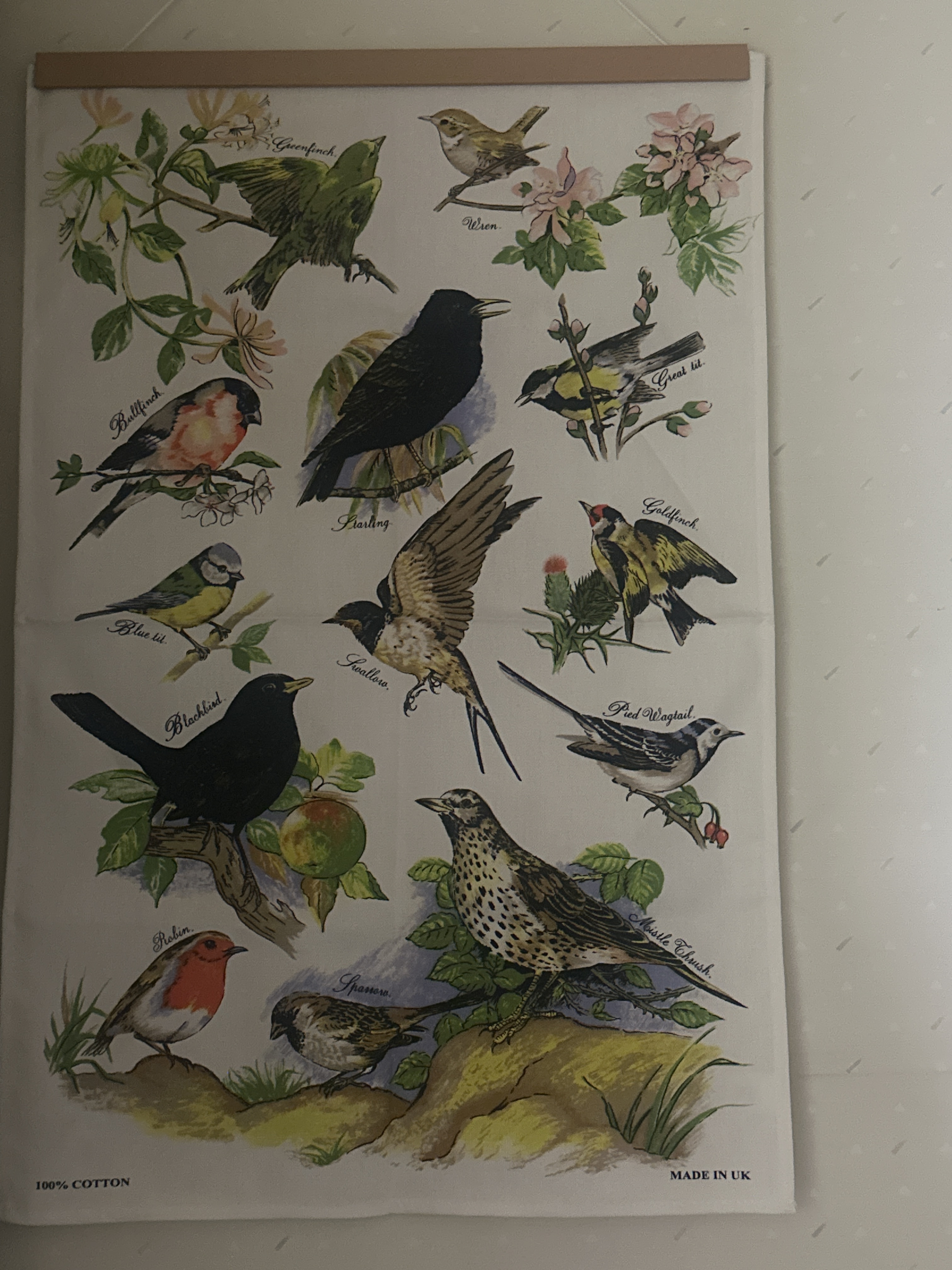 レビュー投稿画像