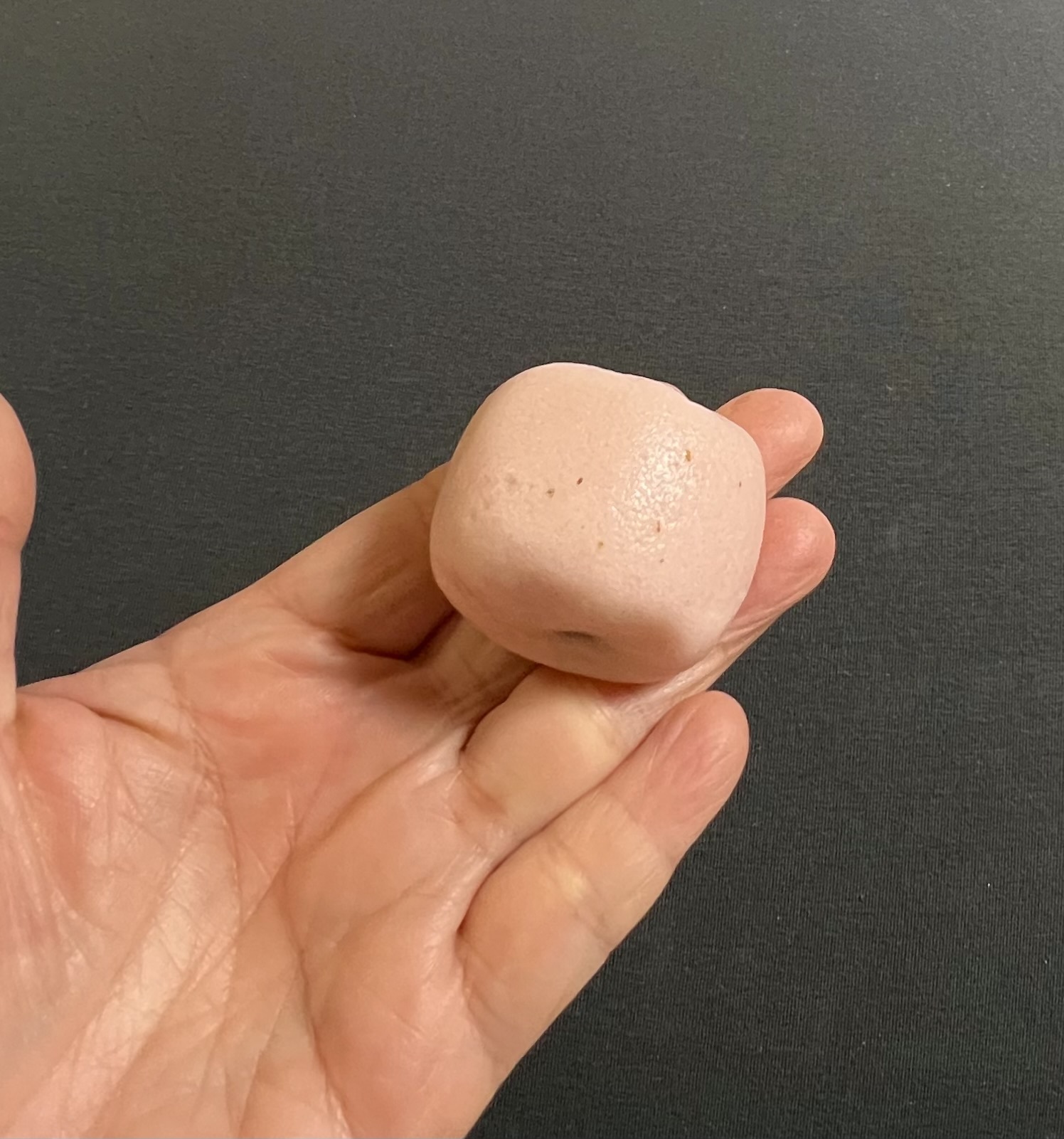 レビュー投稿画像