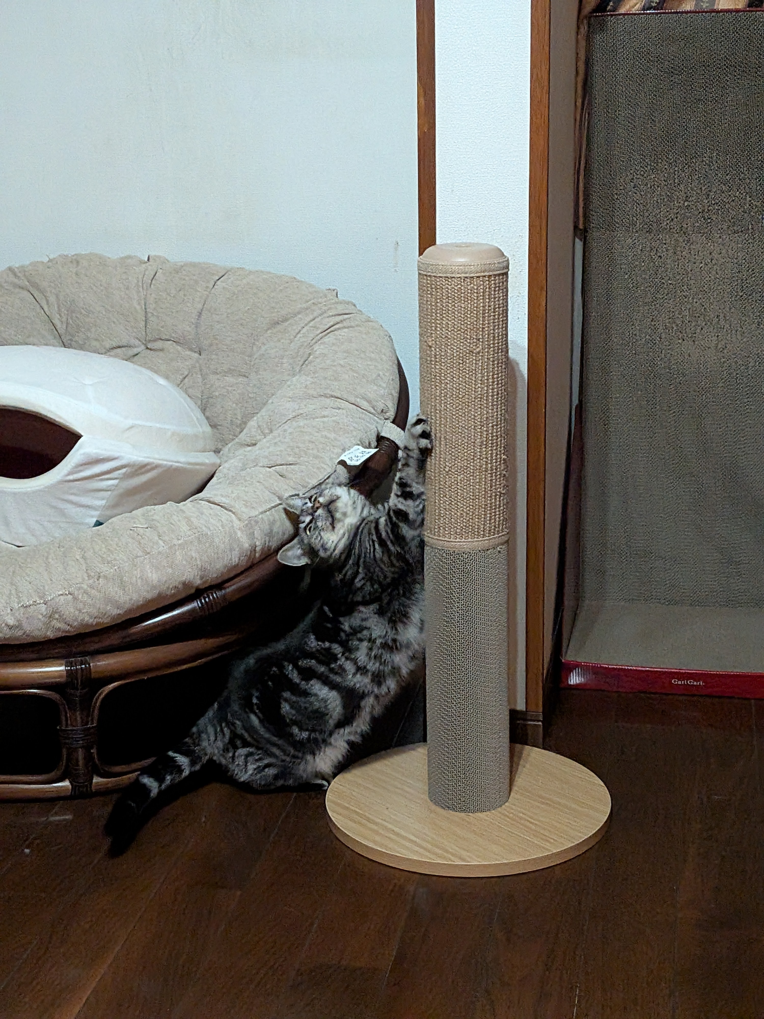 レビュー投稿画像