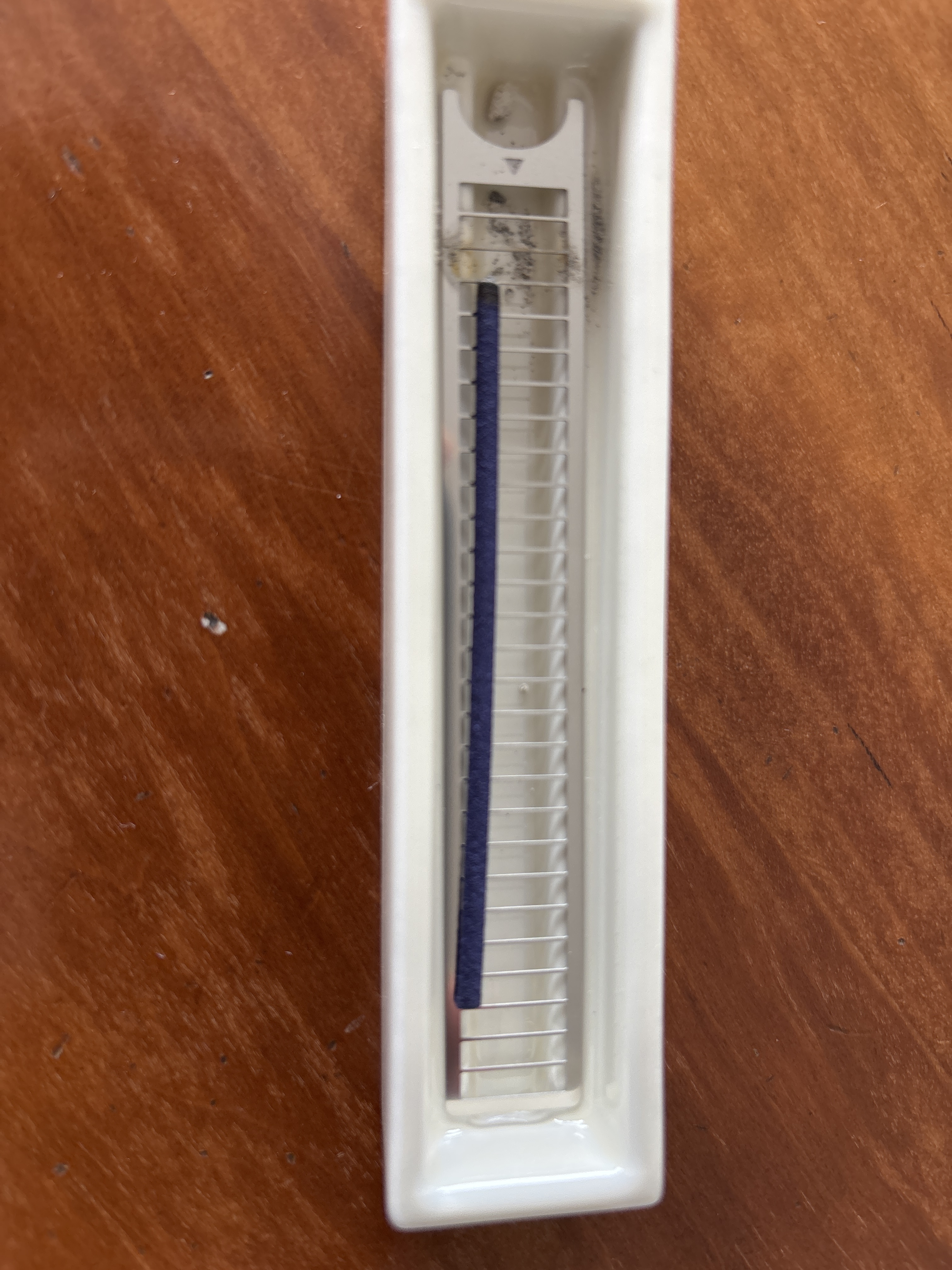 レビュー投稿画像