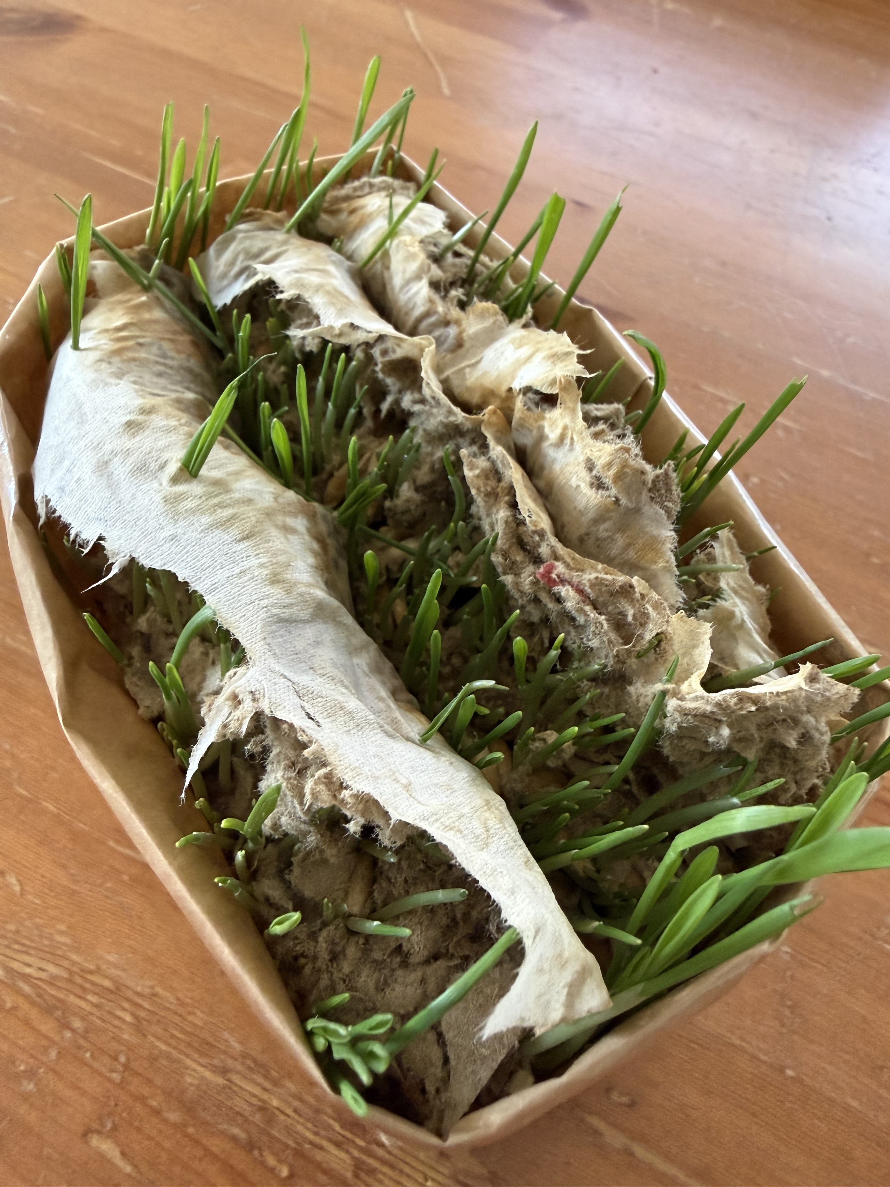 レビュー投稿画像