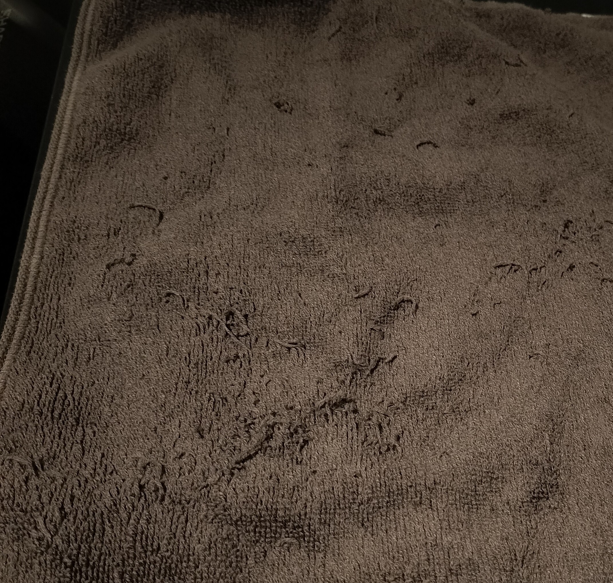 レビュー投稿画像