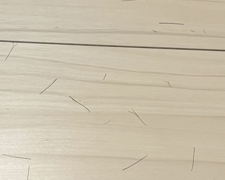 レビュー投稿画像