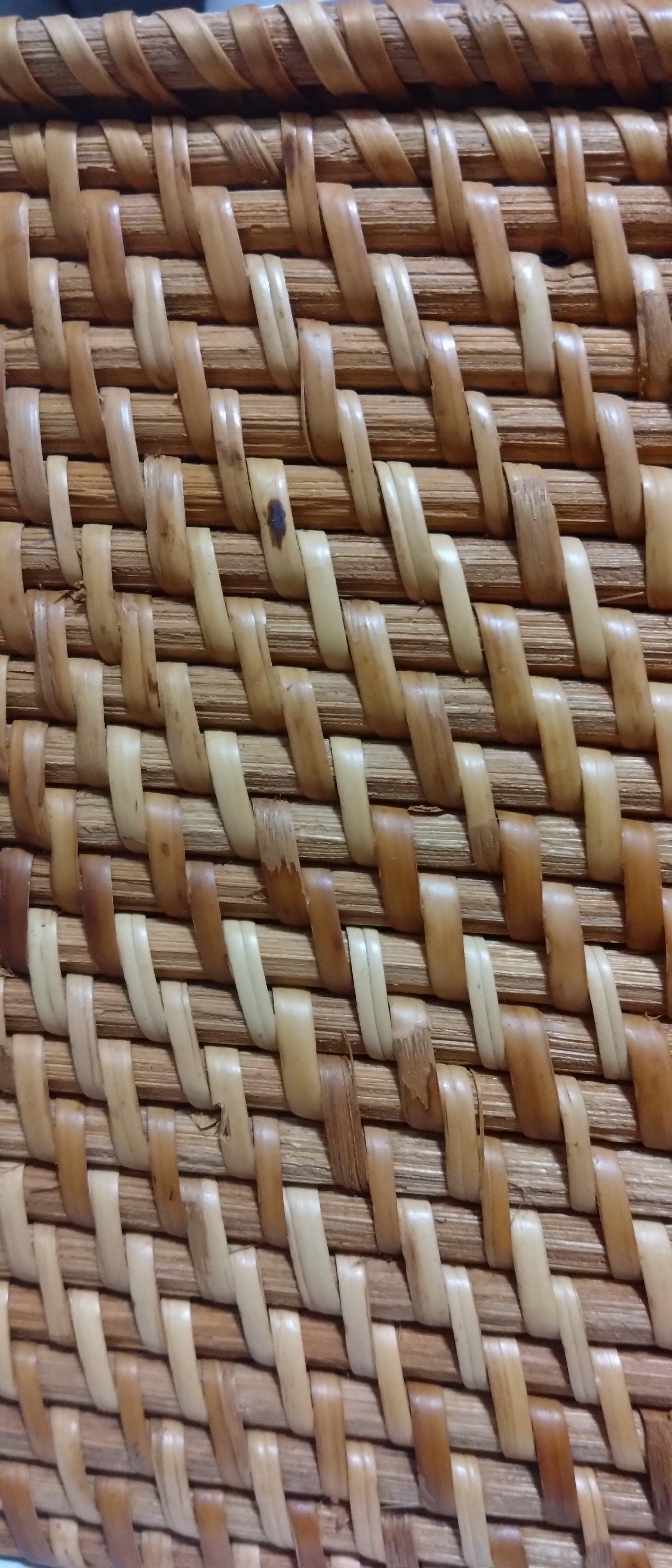 レビュー投稿画像