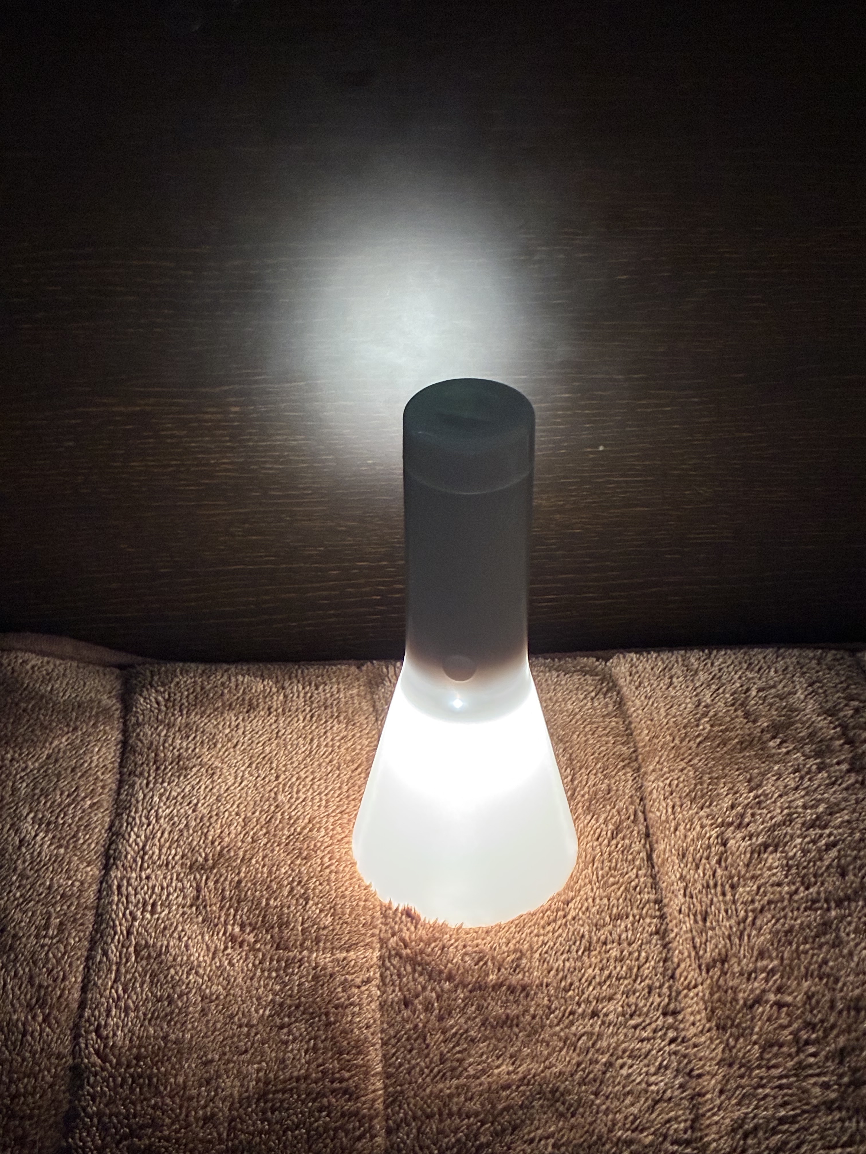 無印LED定価16800円 LED懐中電灯 大 | 無印良品